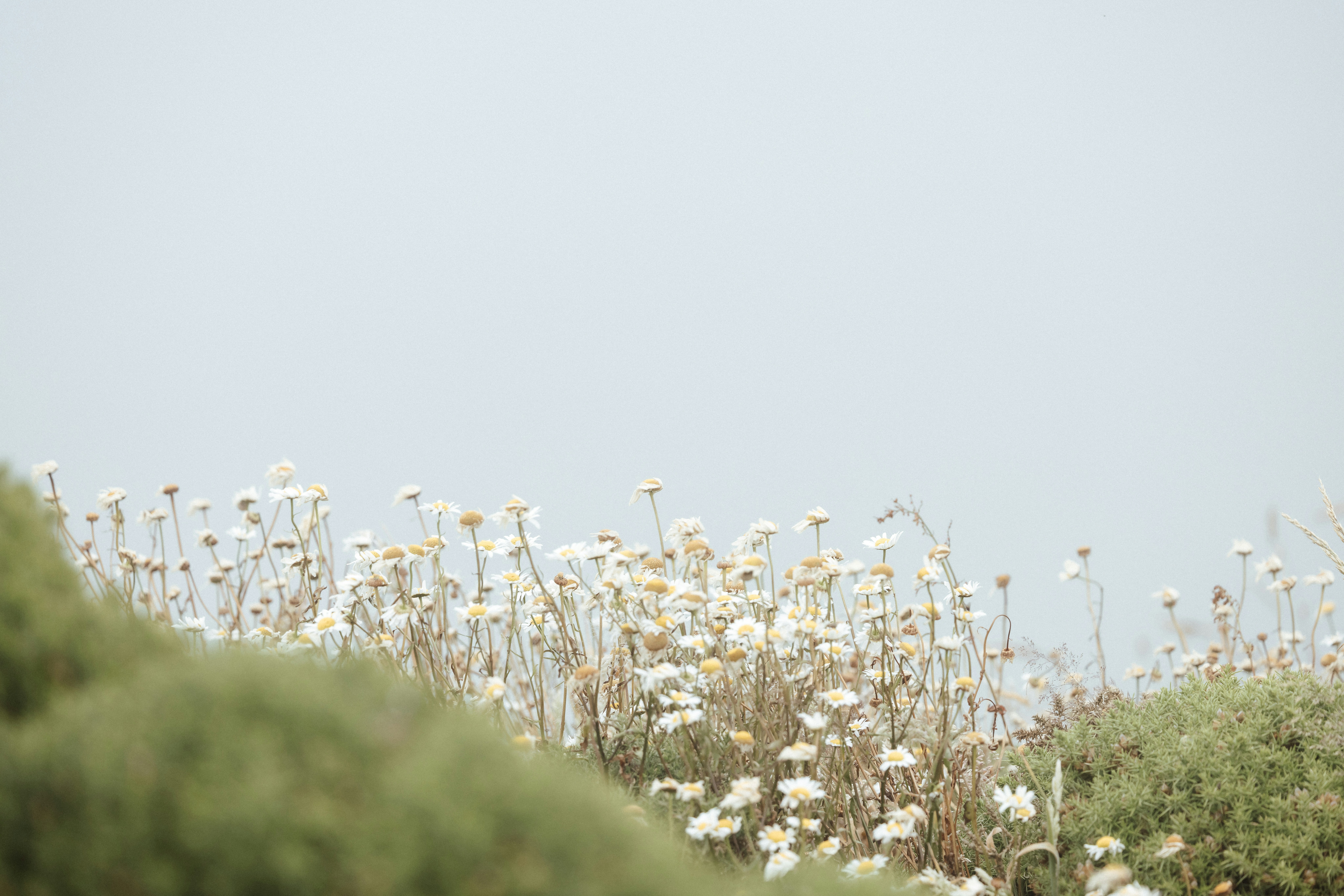 Photo by anniespratt