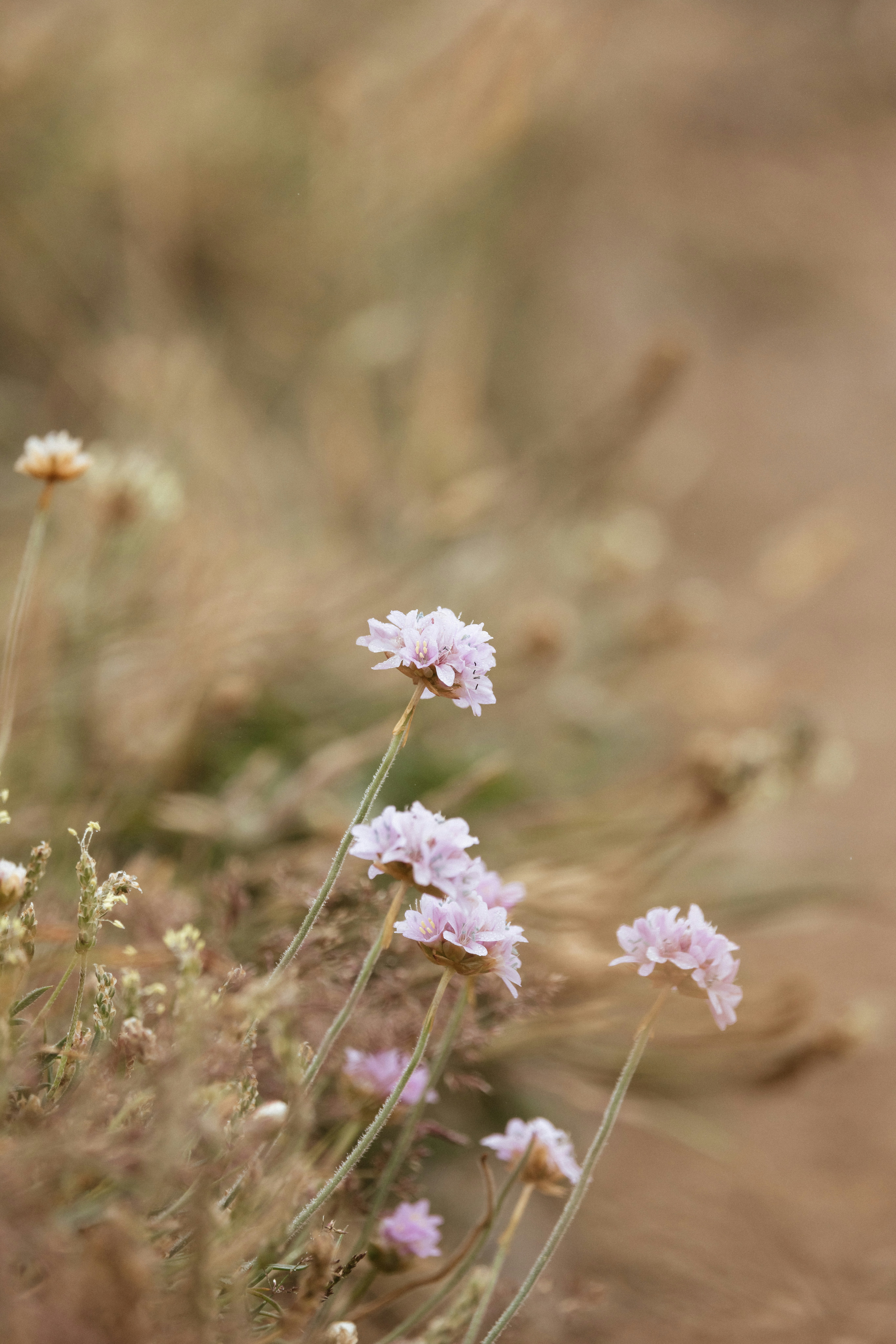 Photo by anniespratt