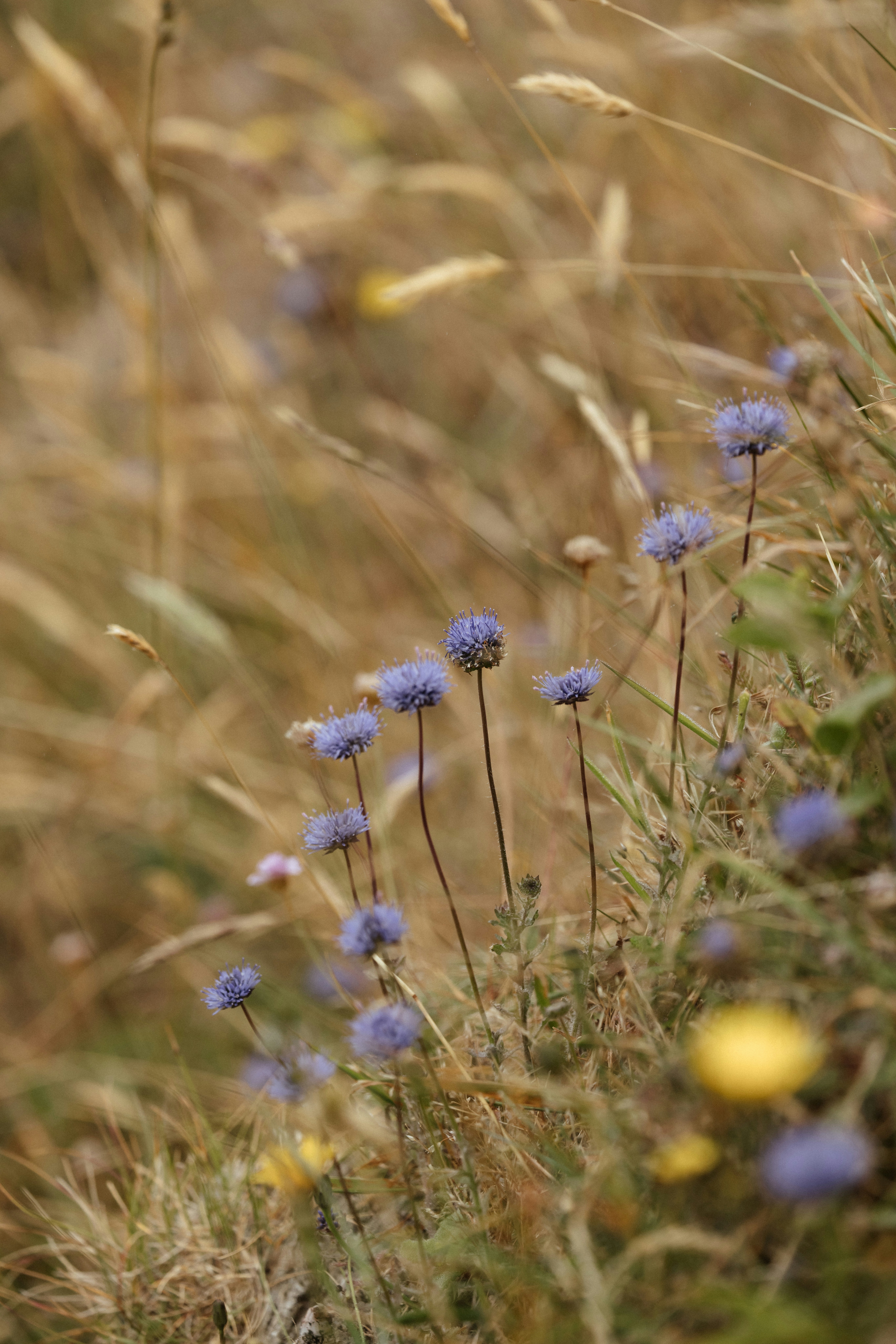 Photo by anniespratt