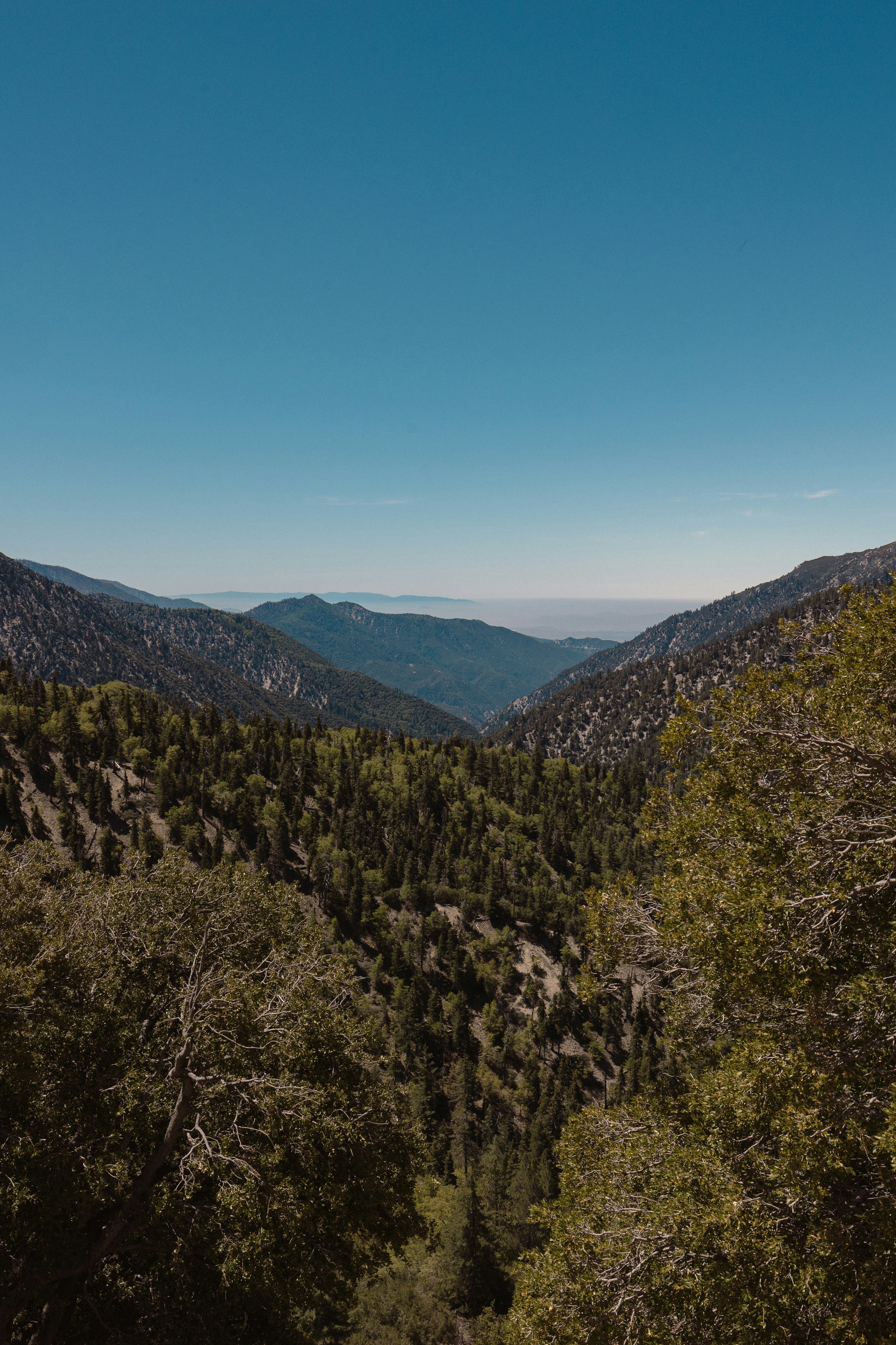 Photo by bicoastal_agency