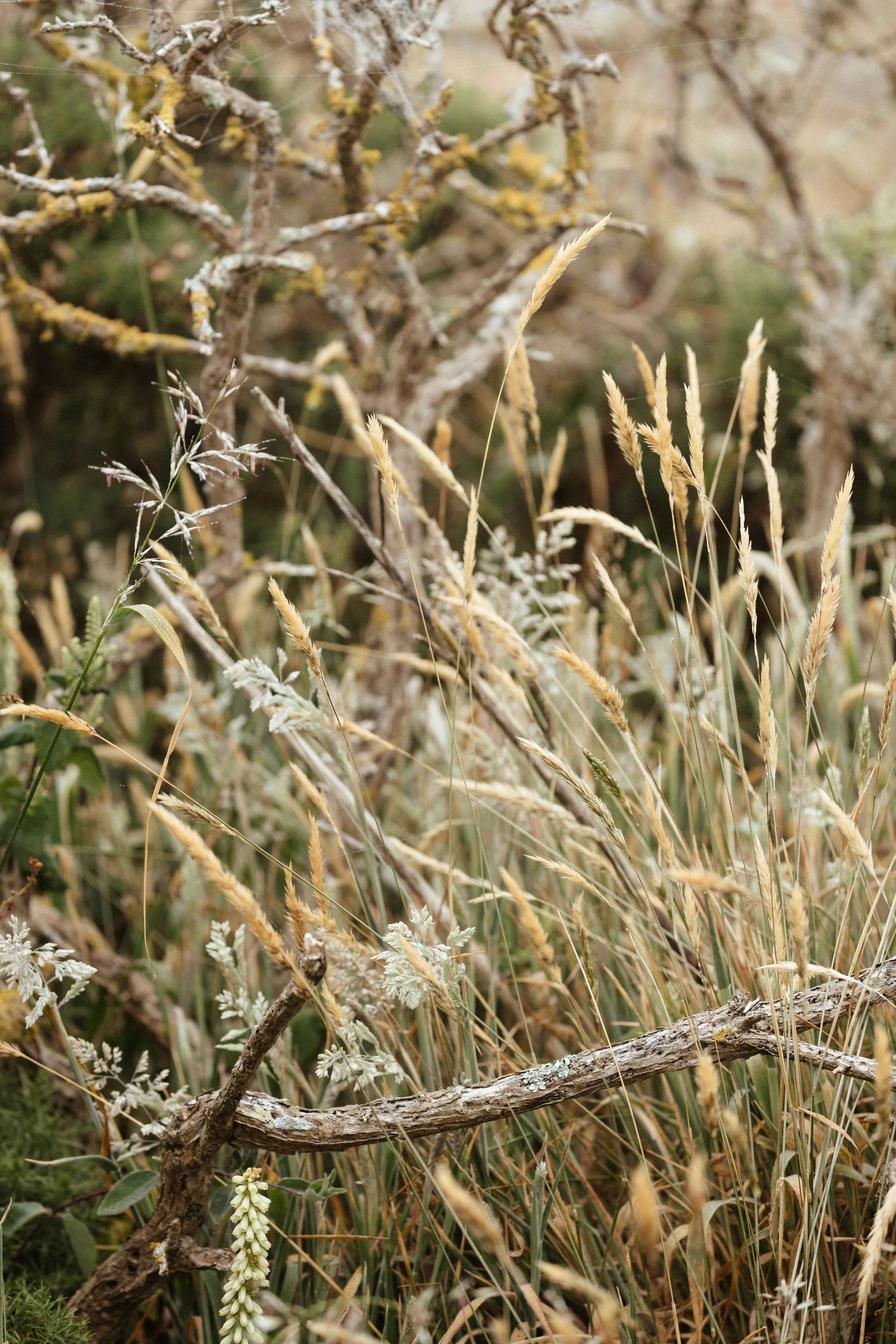 Photo by anniespratt