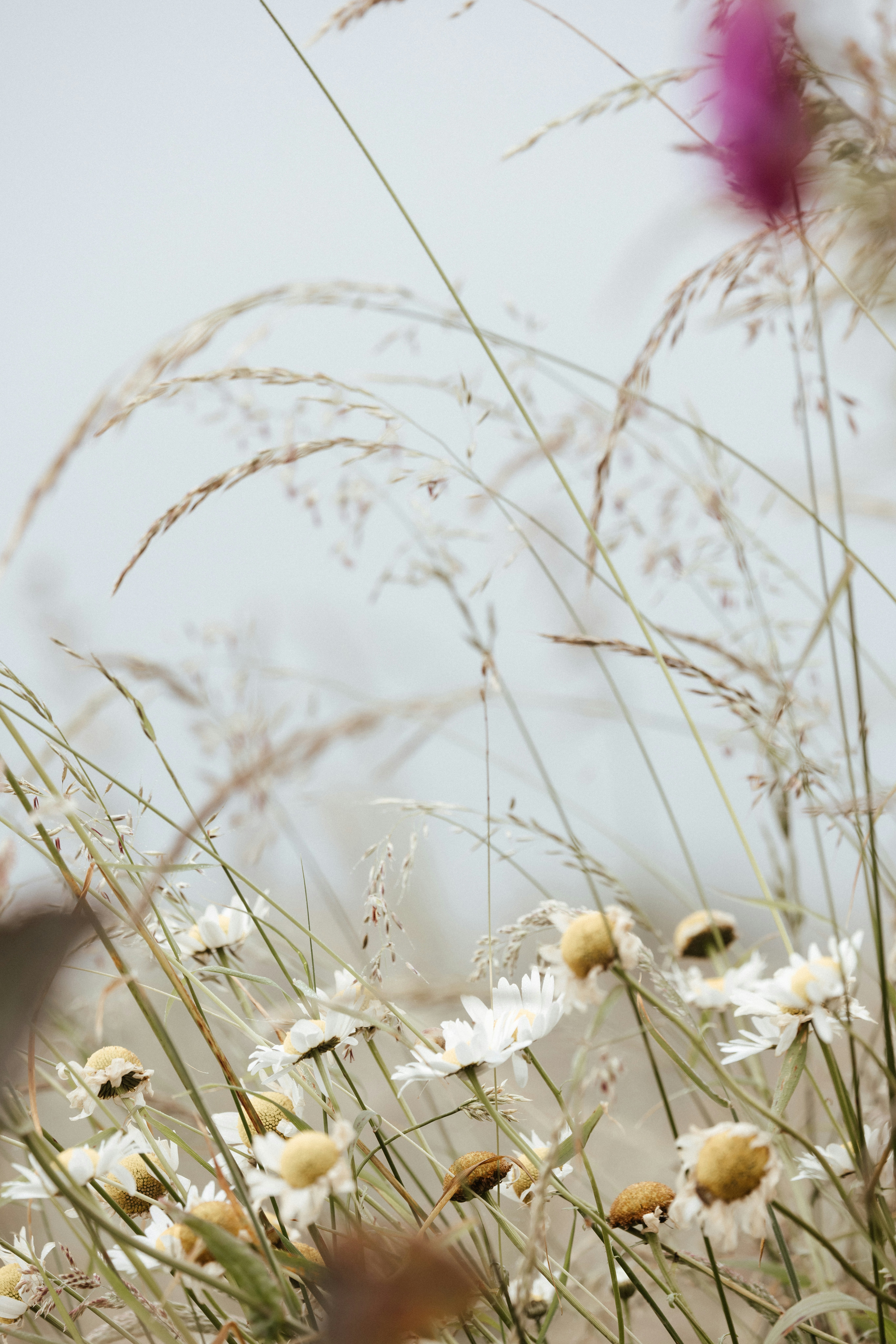 Photo by anniespratt