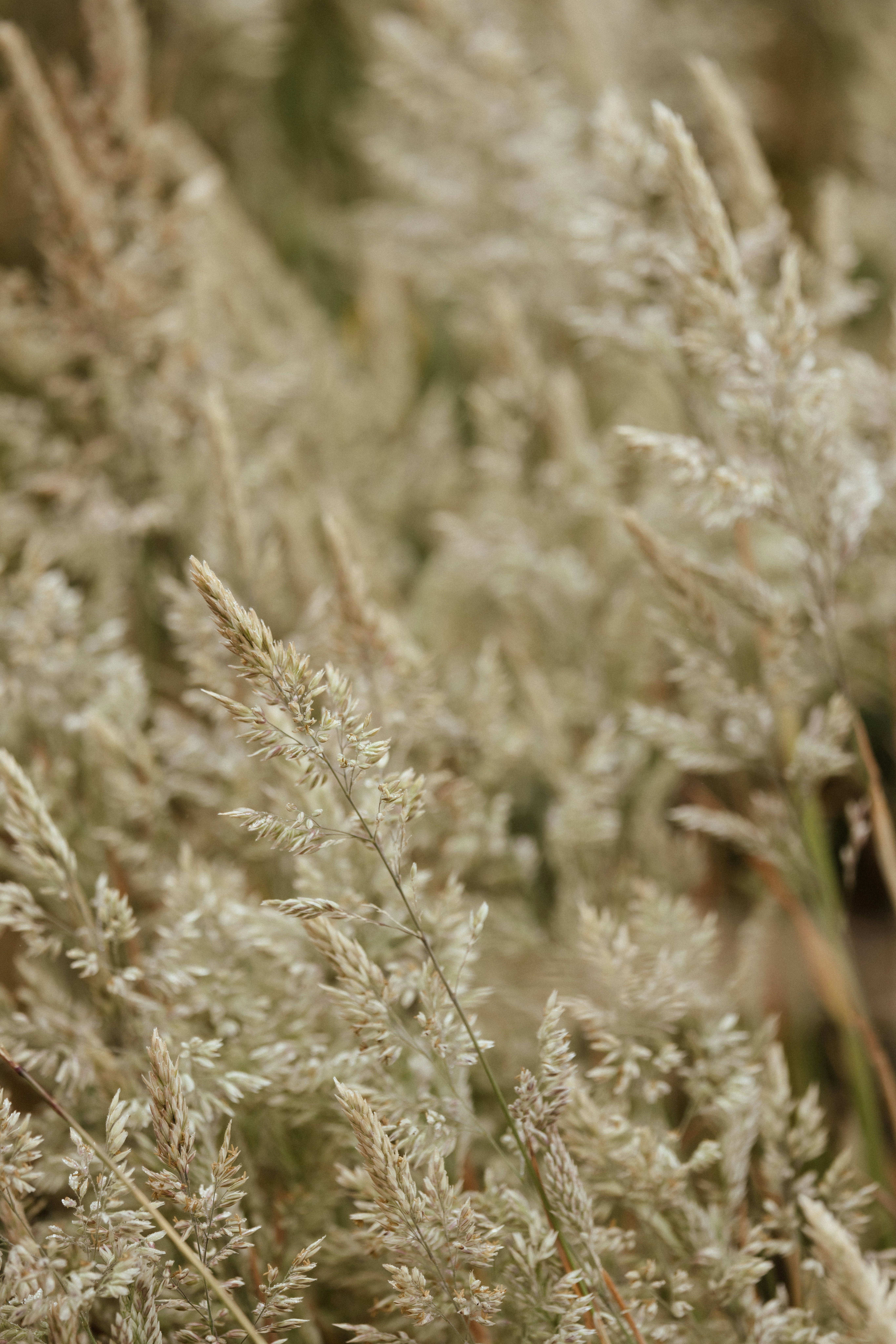 Photo by anniespratt