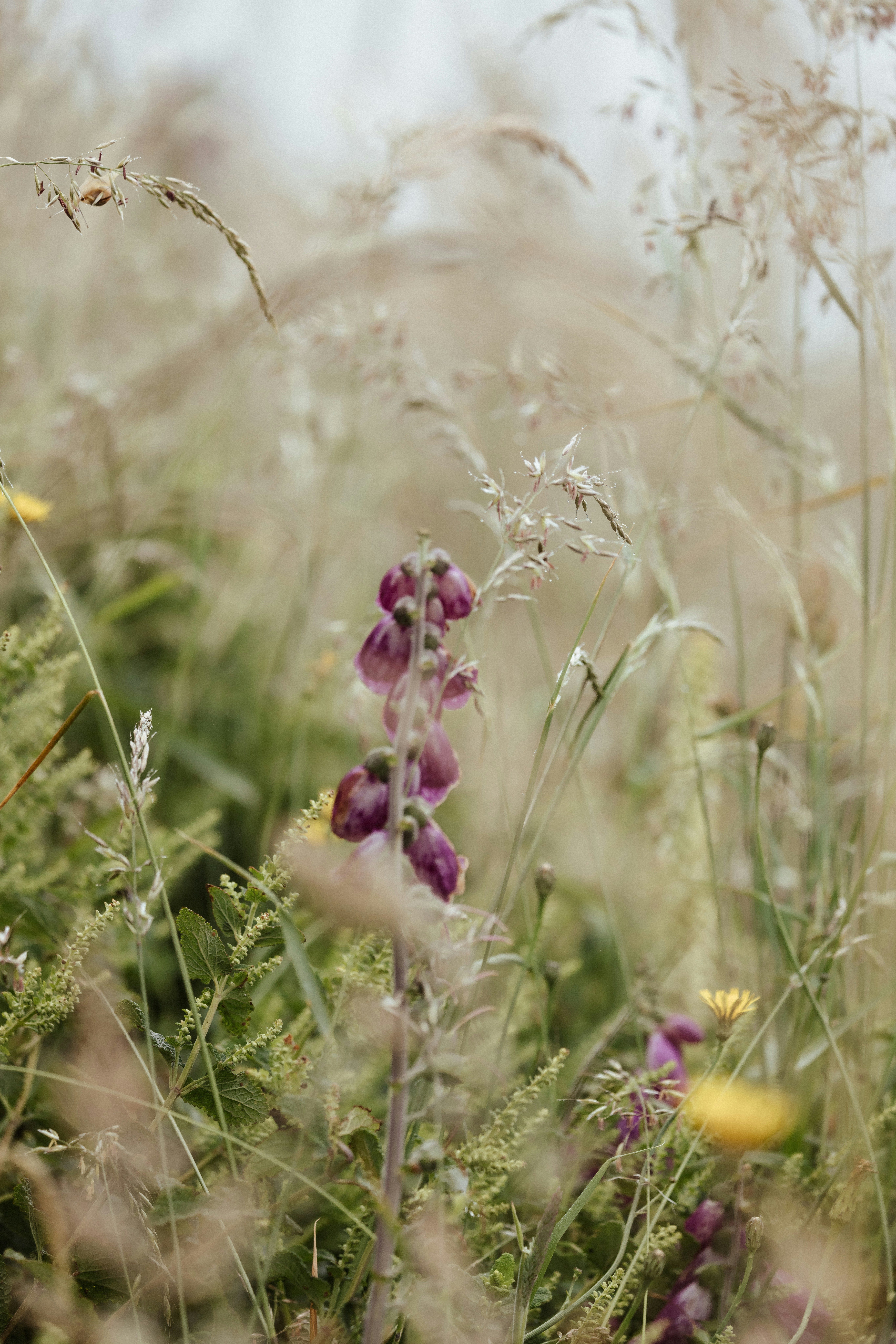 Photo by anniespratt