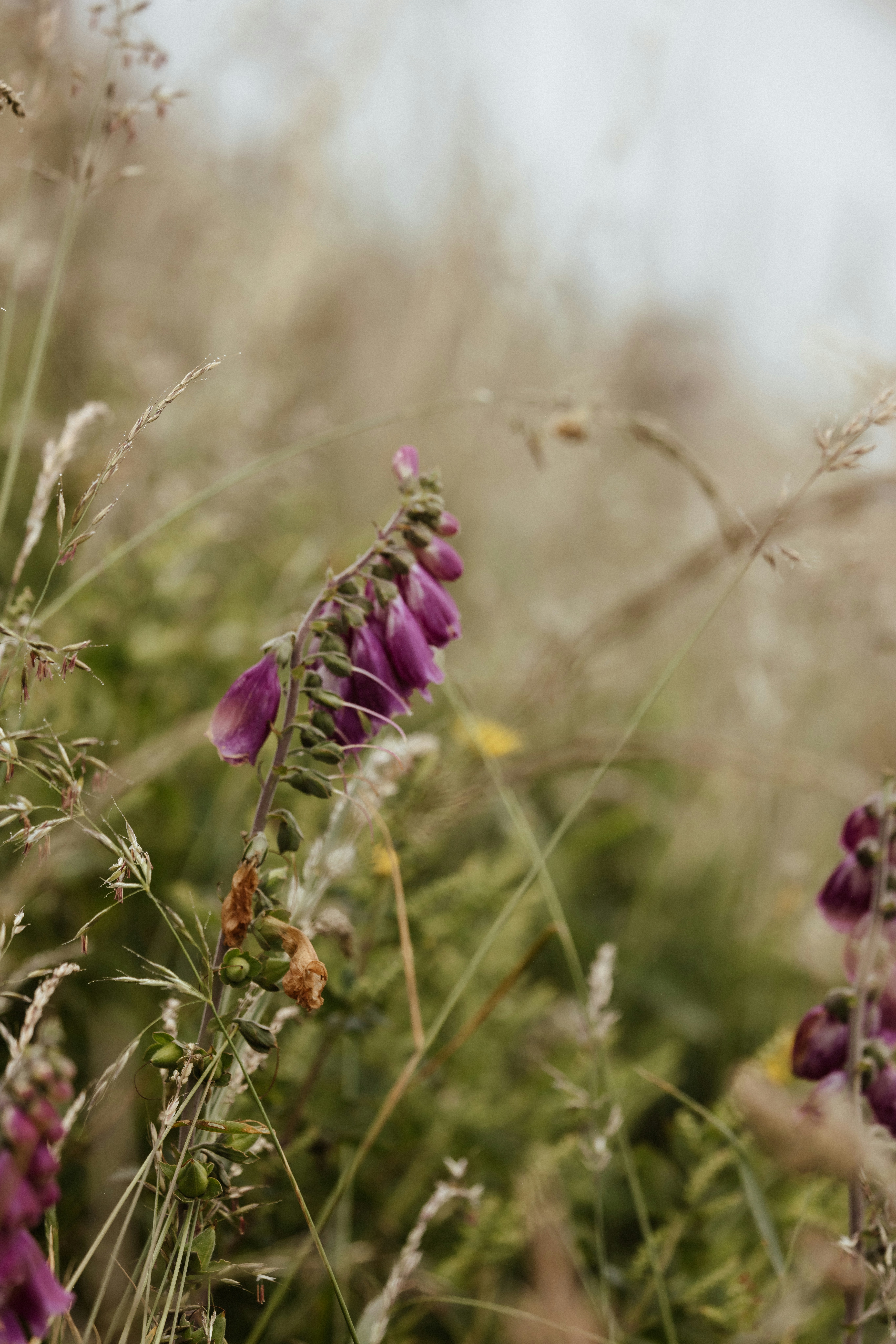 Photo by anniespratt