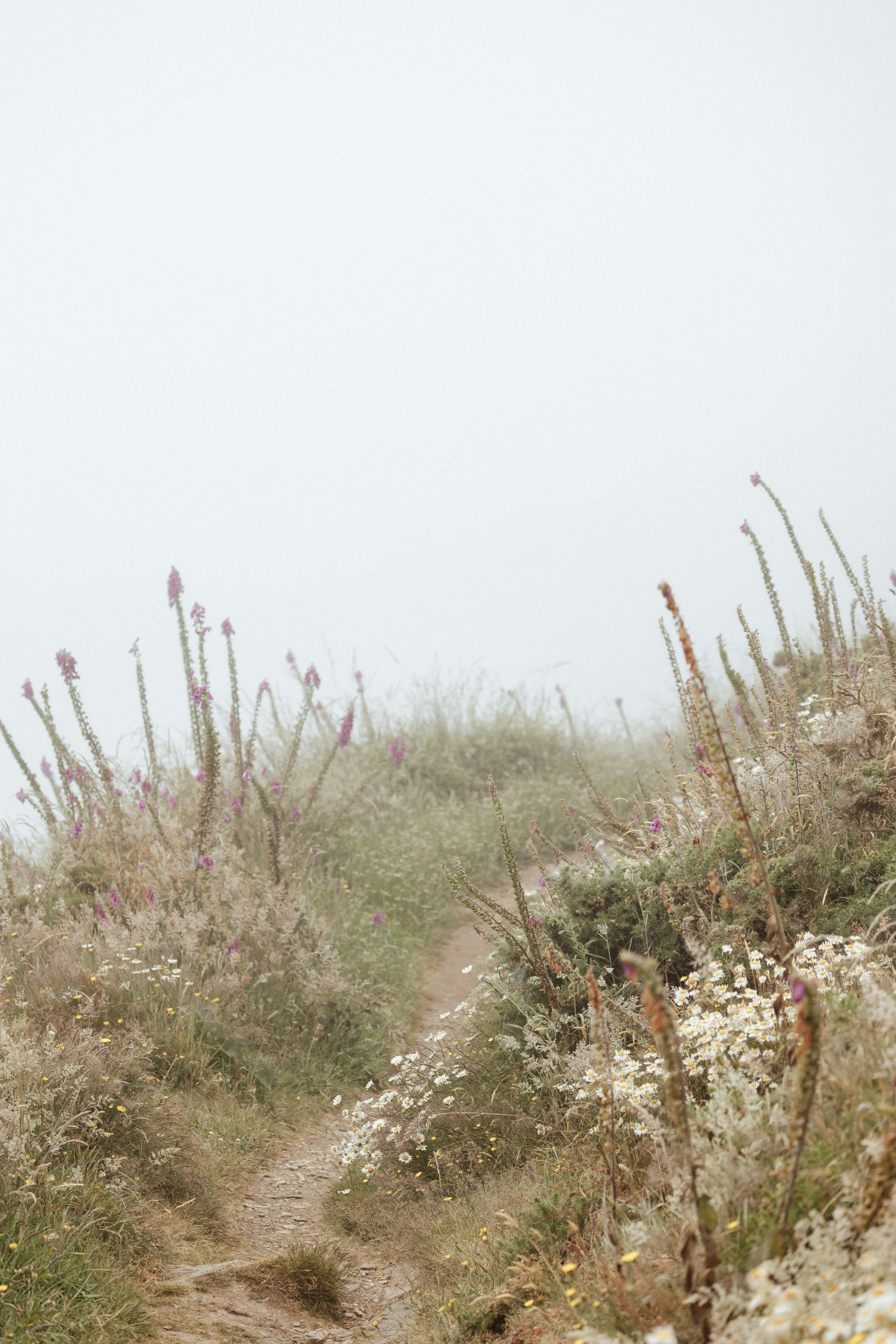 Photo by anniespratt