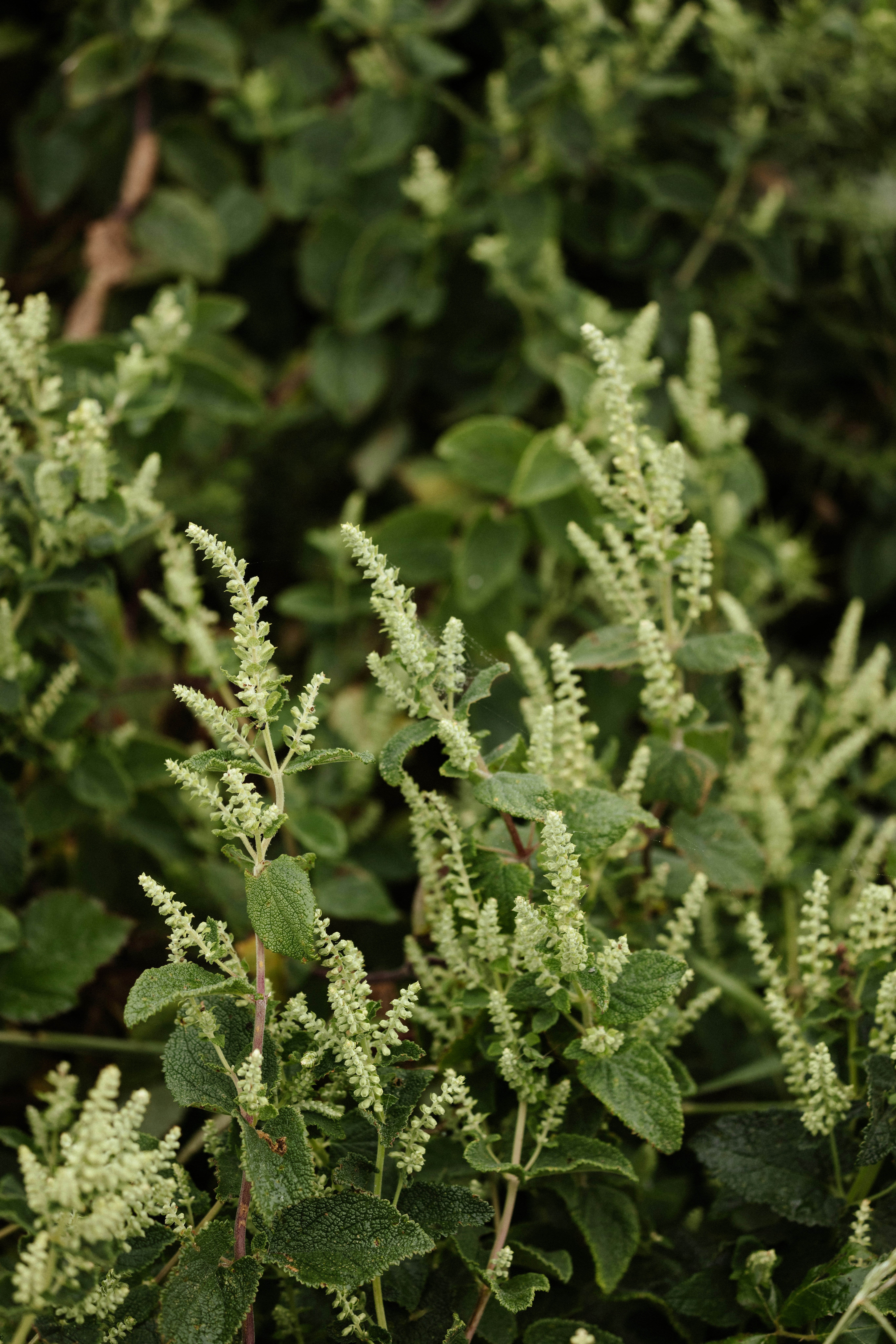 Photo by anniespratt