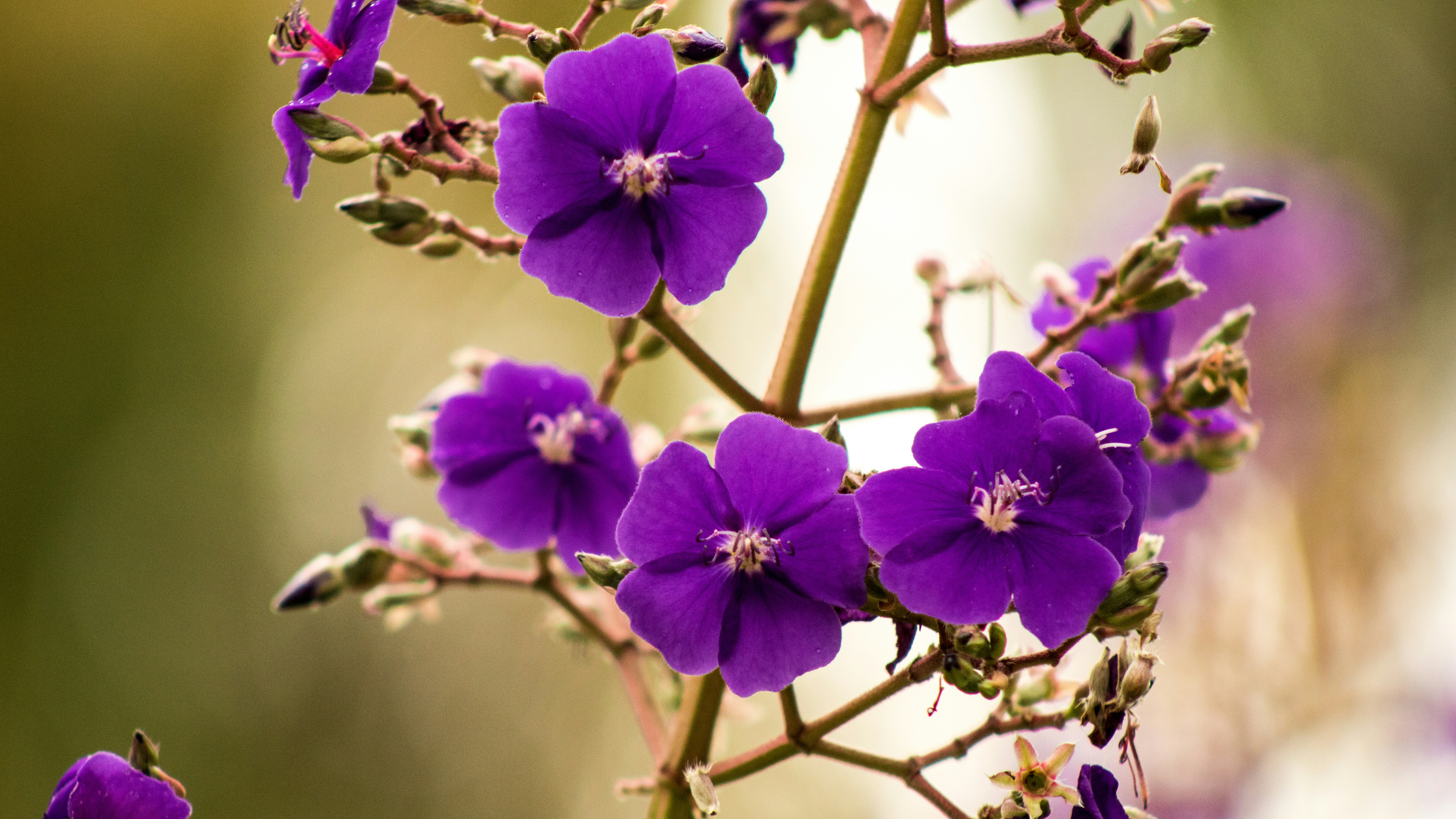 Photo by astroviajes30