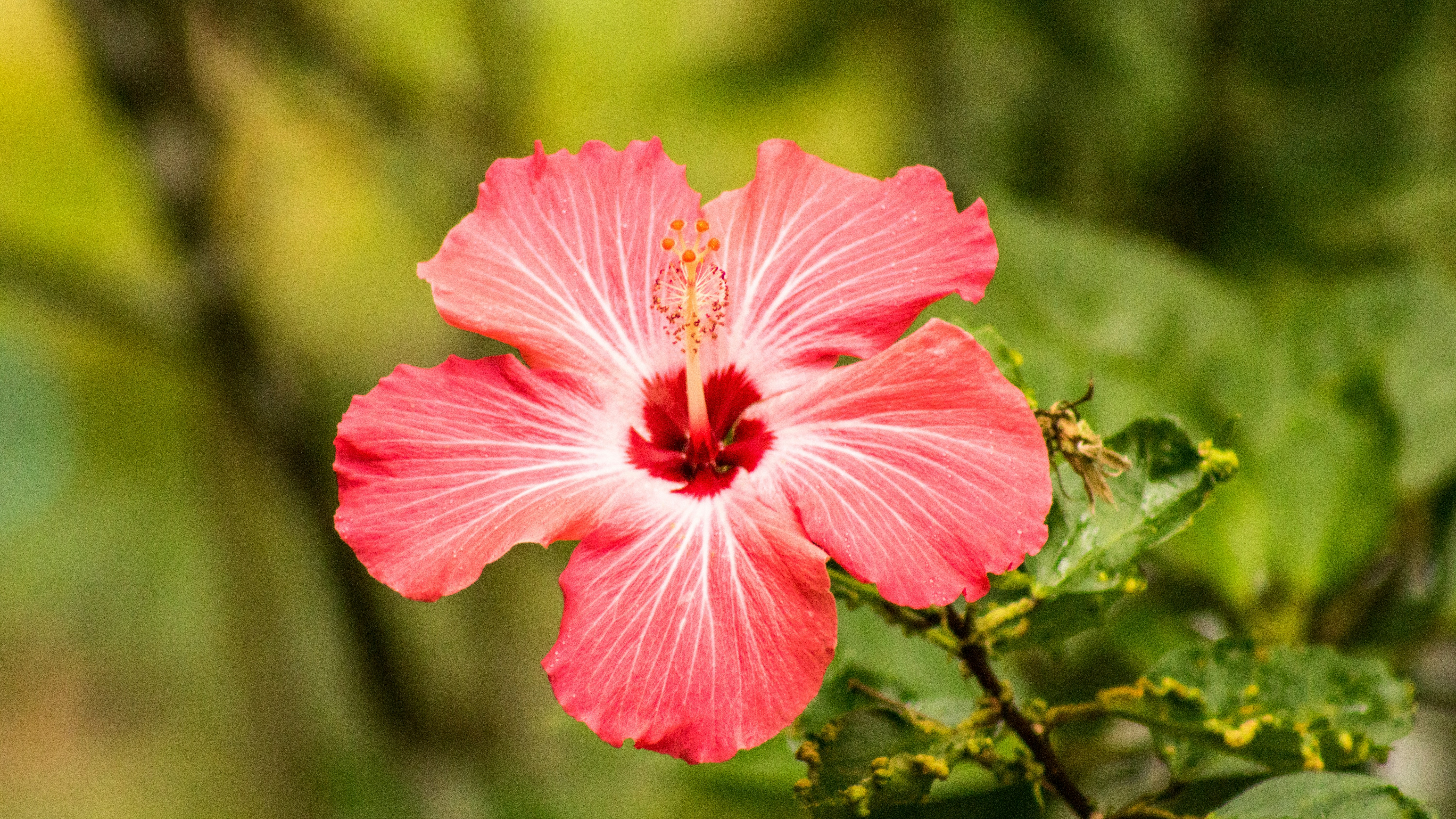 Photo by astroviajes30