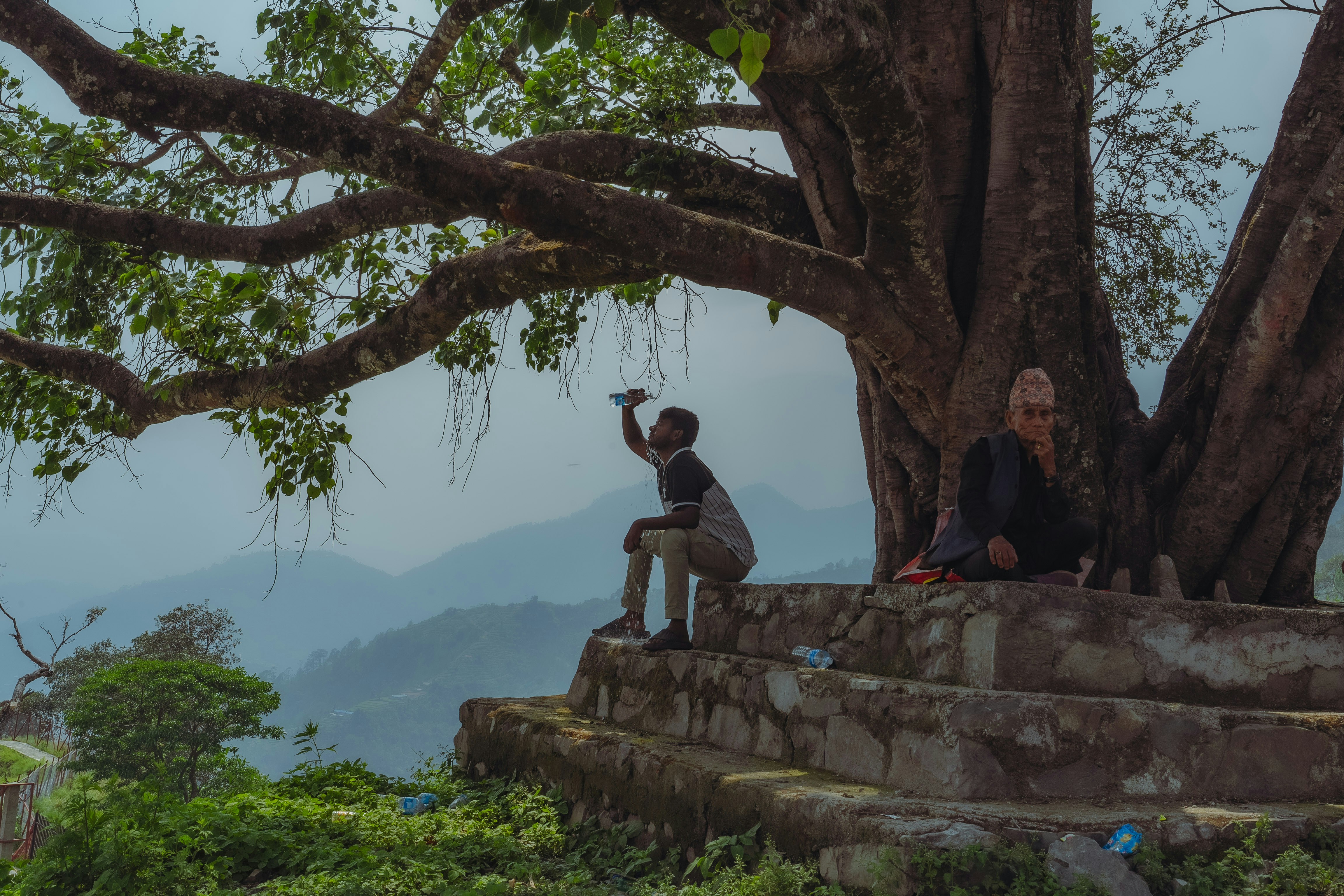 A couple of people sitting on top of a tree