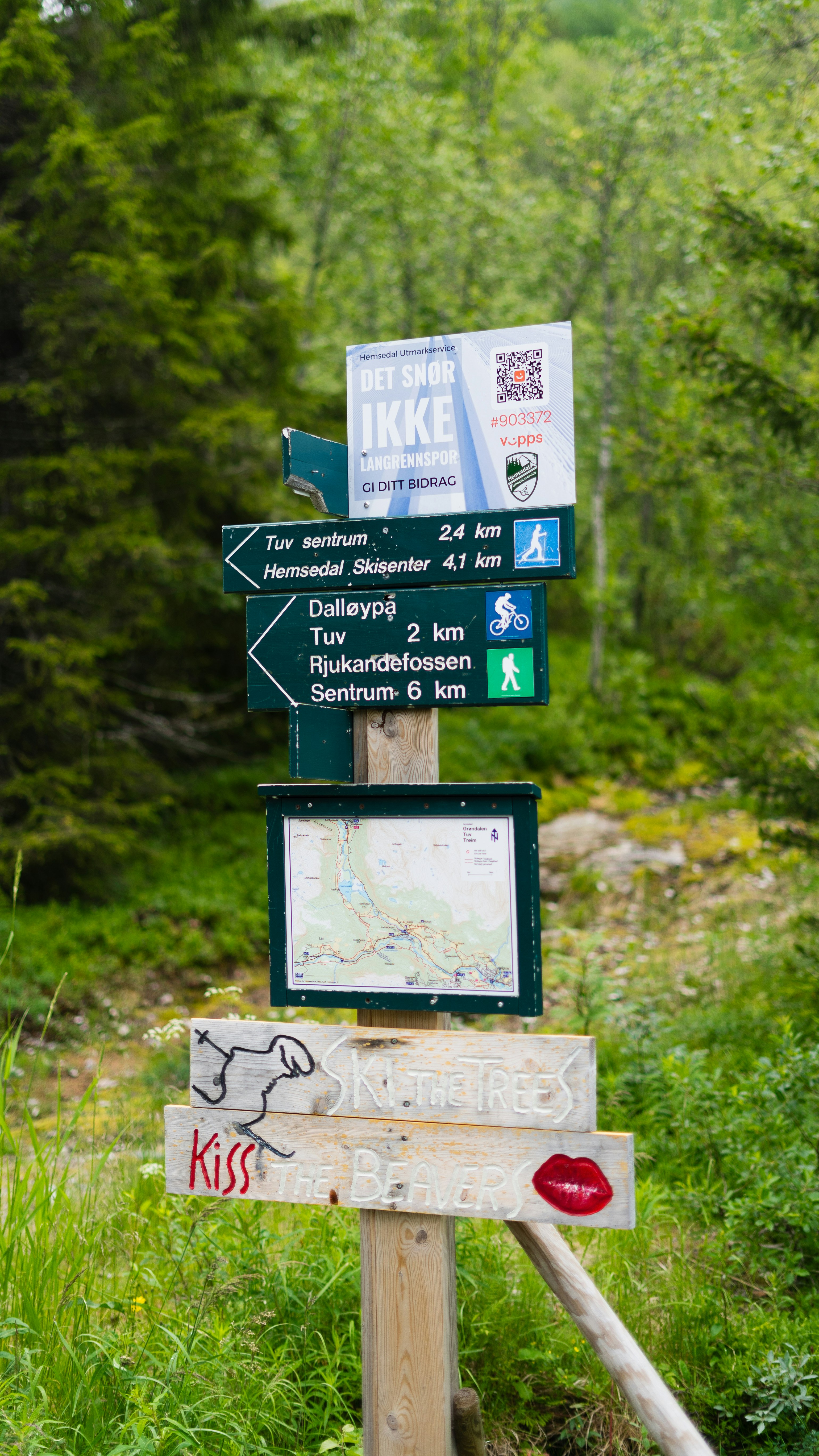 Photo by bartvanderlugt