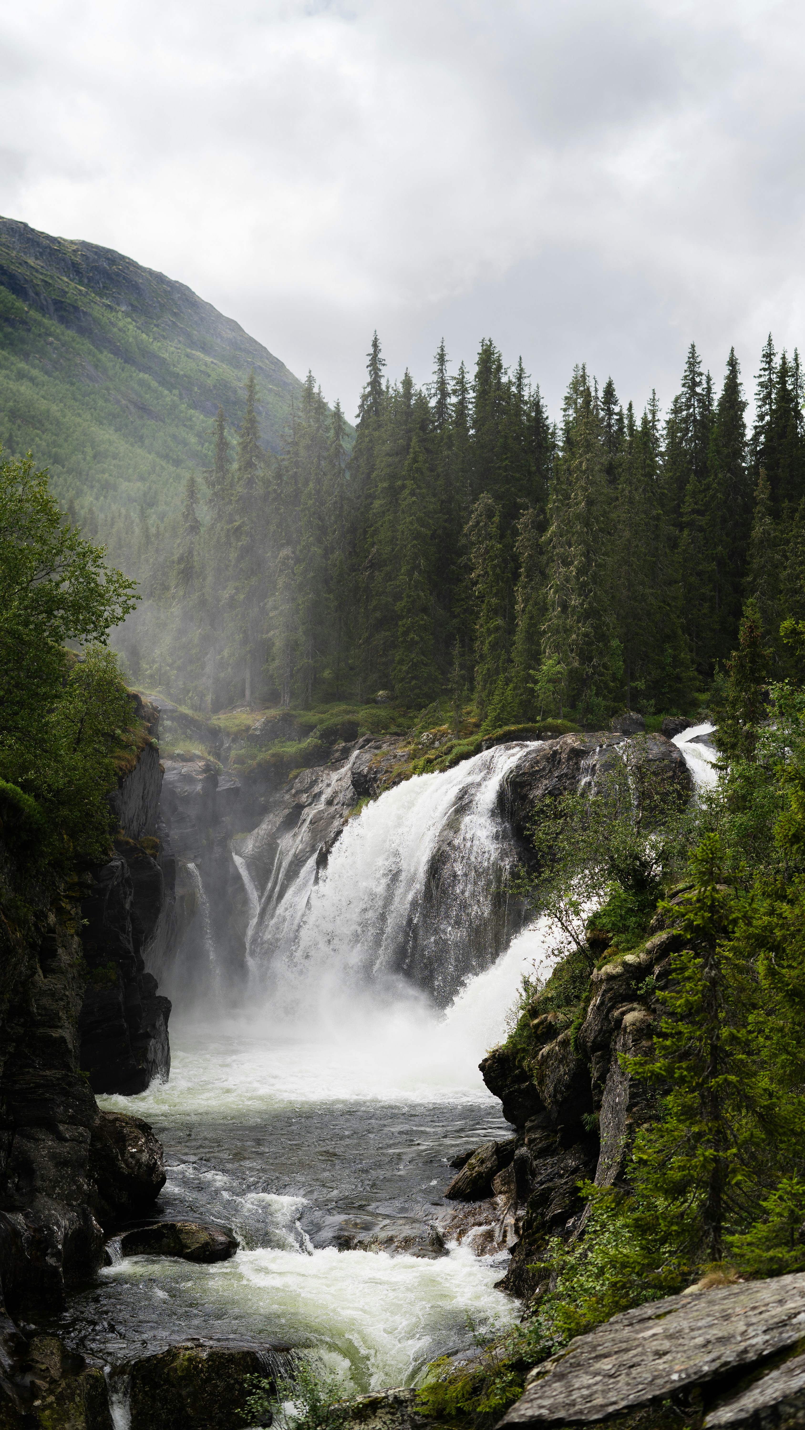 Photo by bartvanderlugt