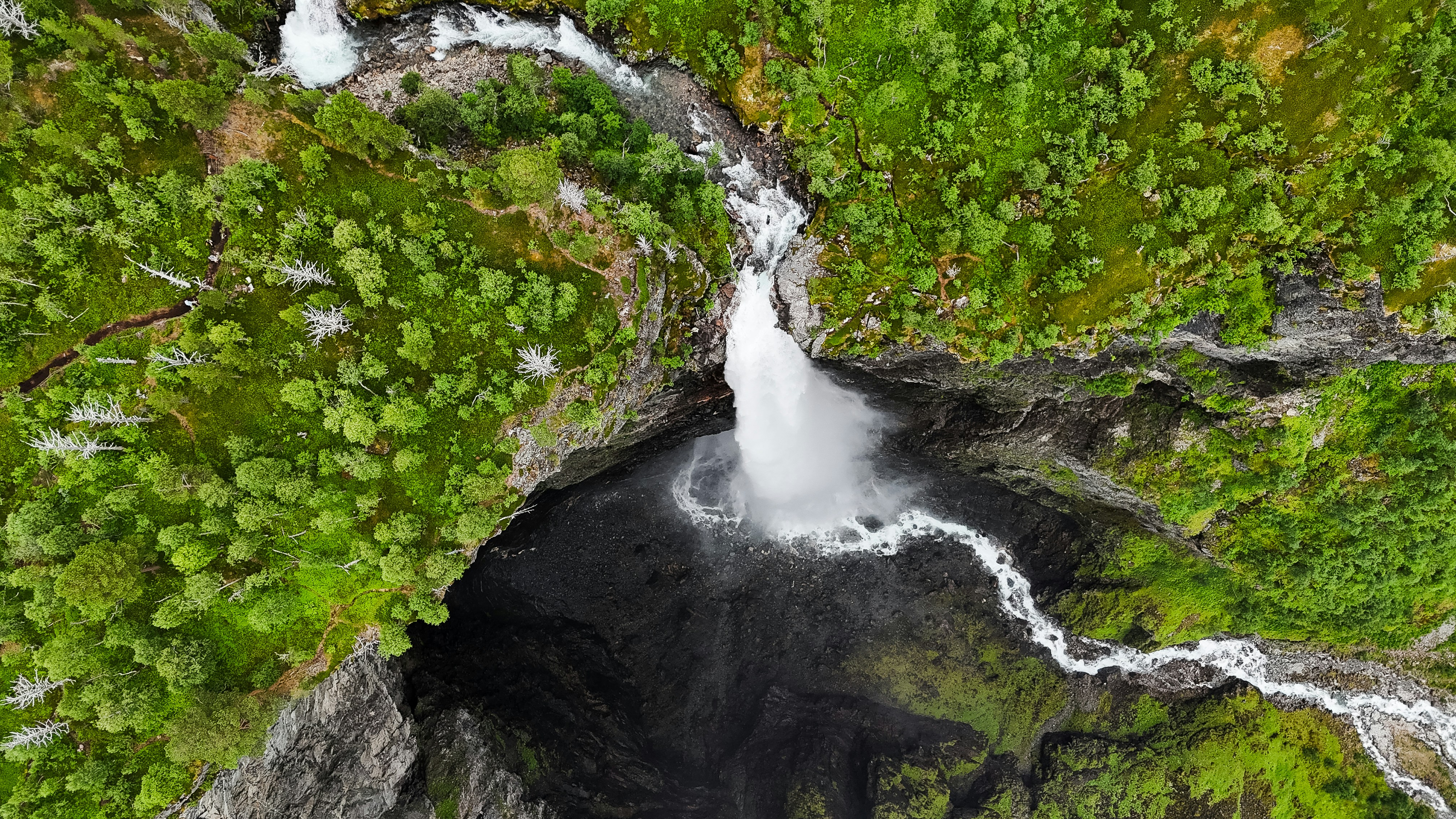 Photo by bartvanderlugt