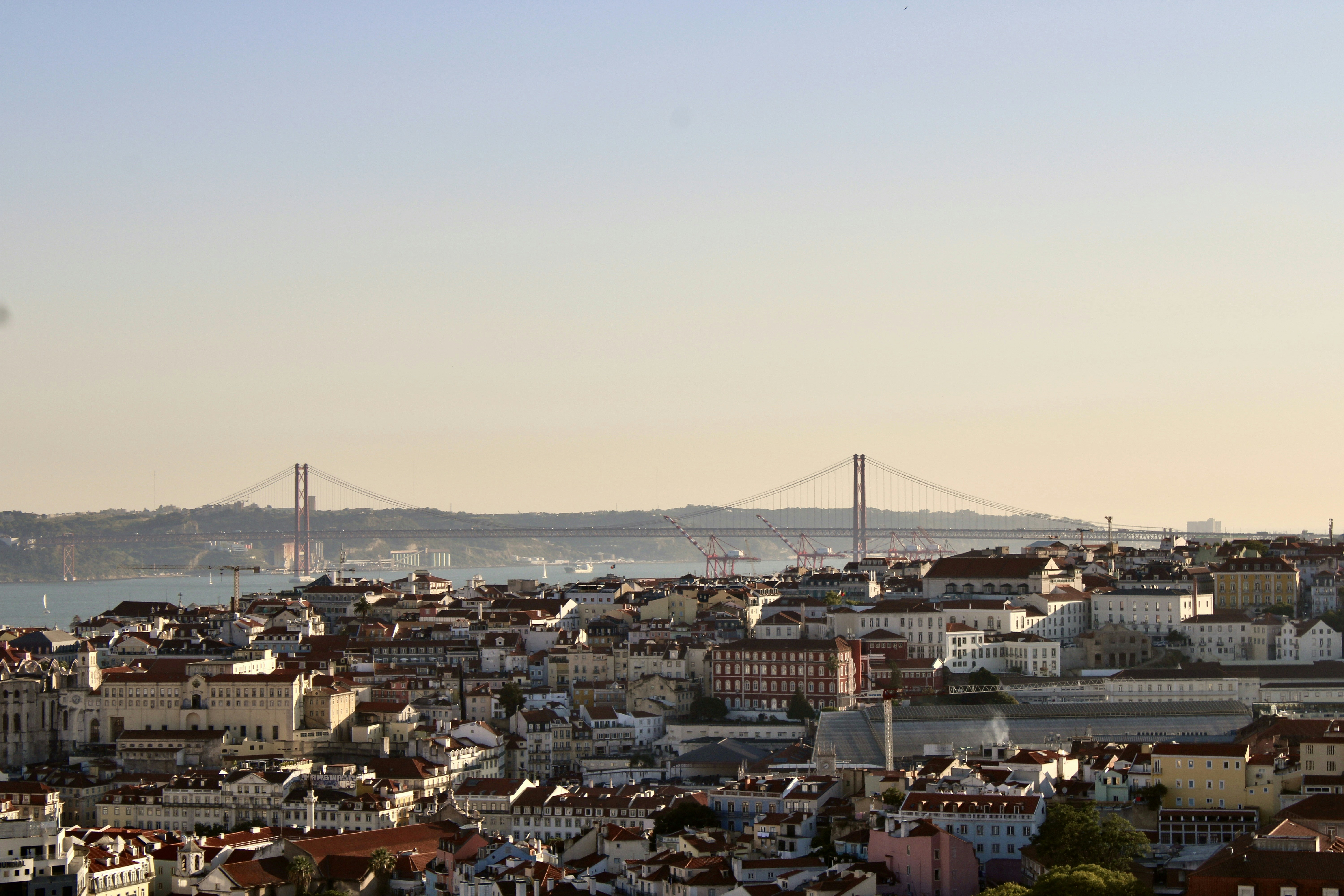 Photo by lucasccipriano