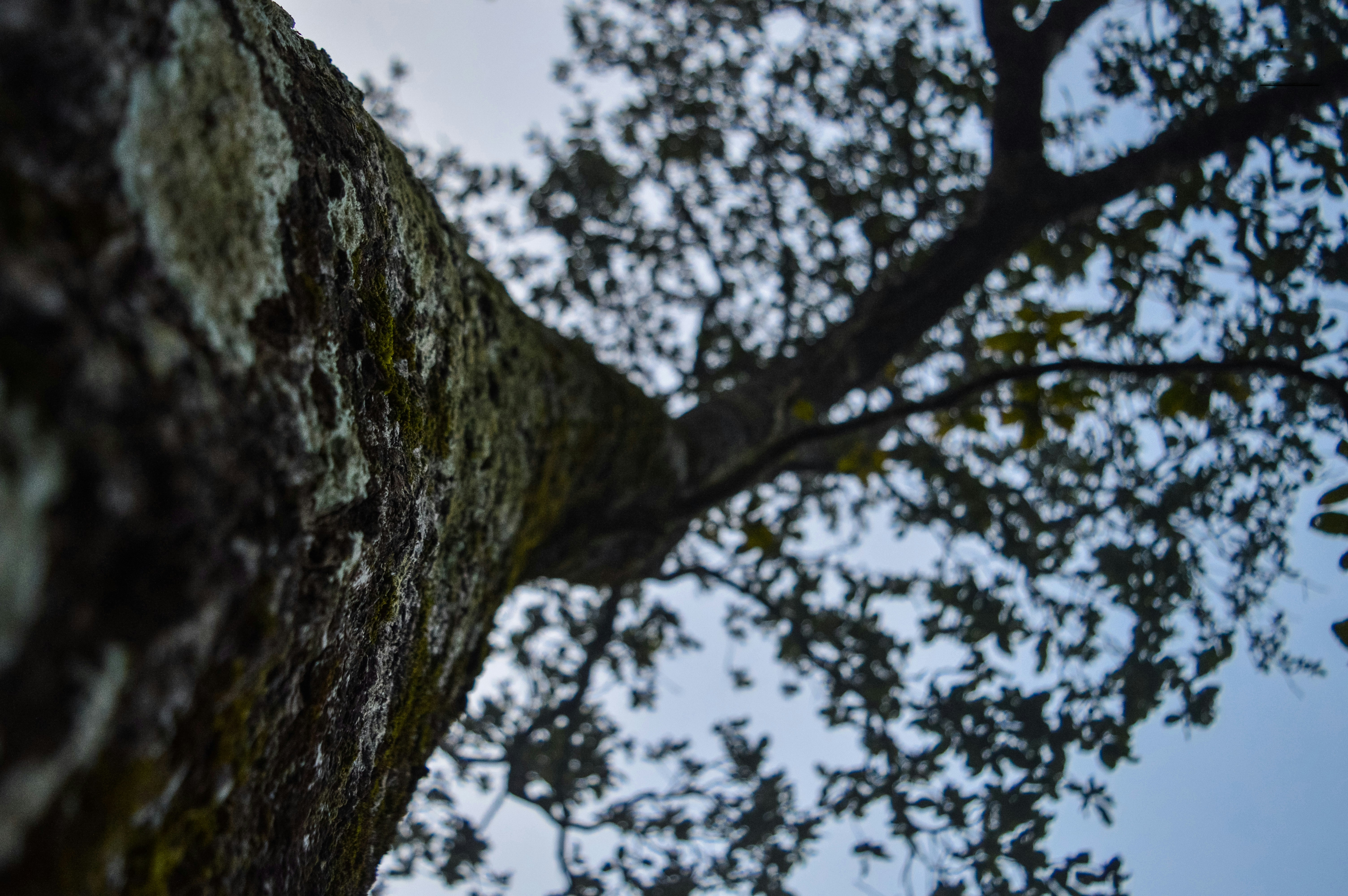 Photo by arifphotography