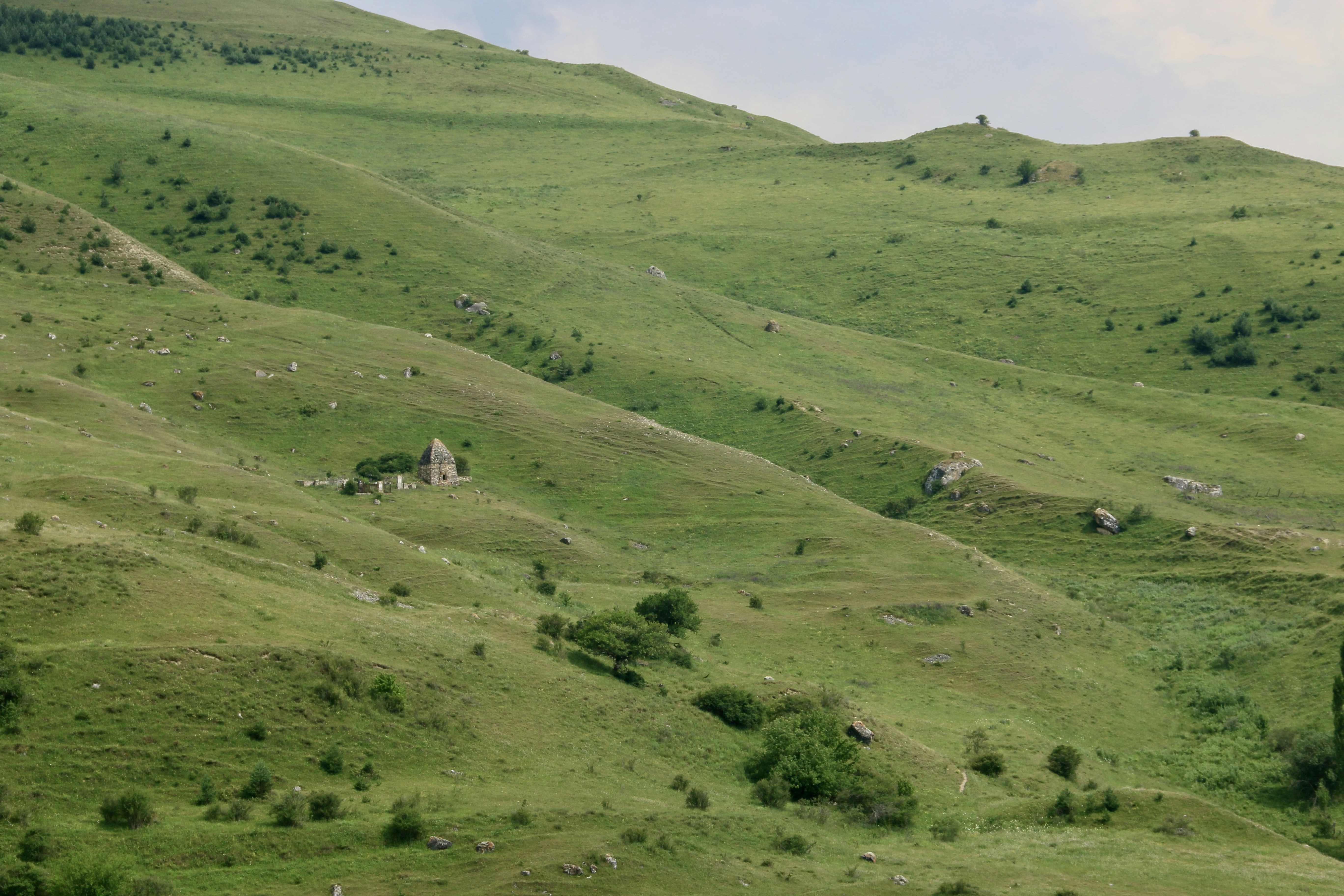 Photo by polinakoroleva