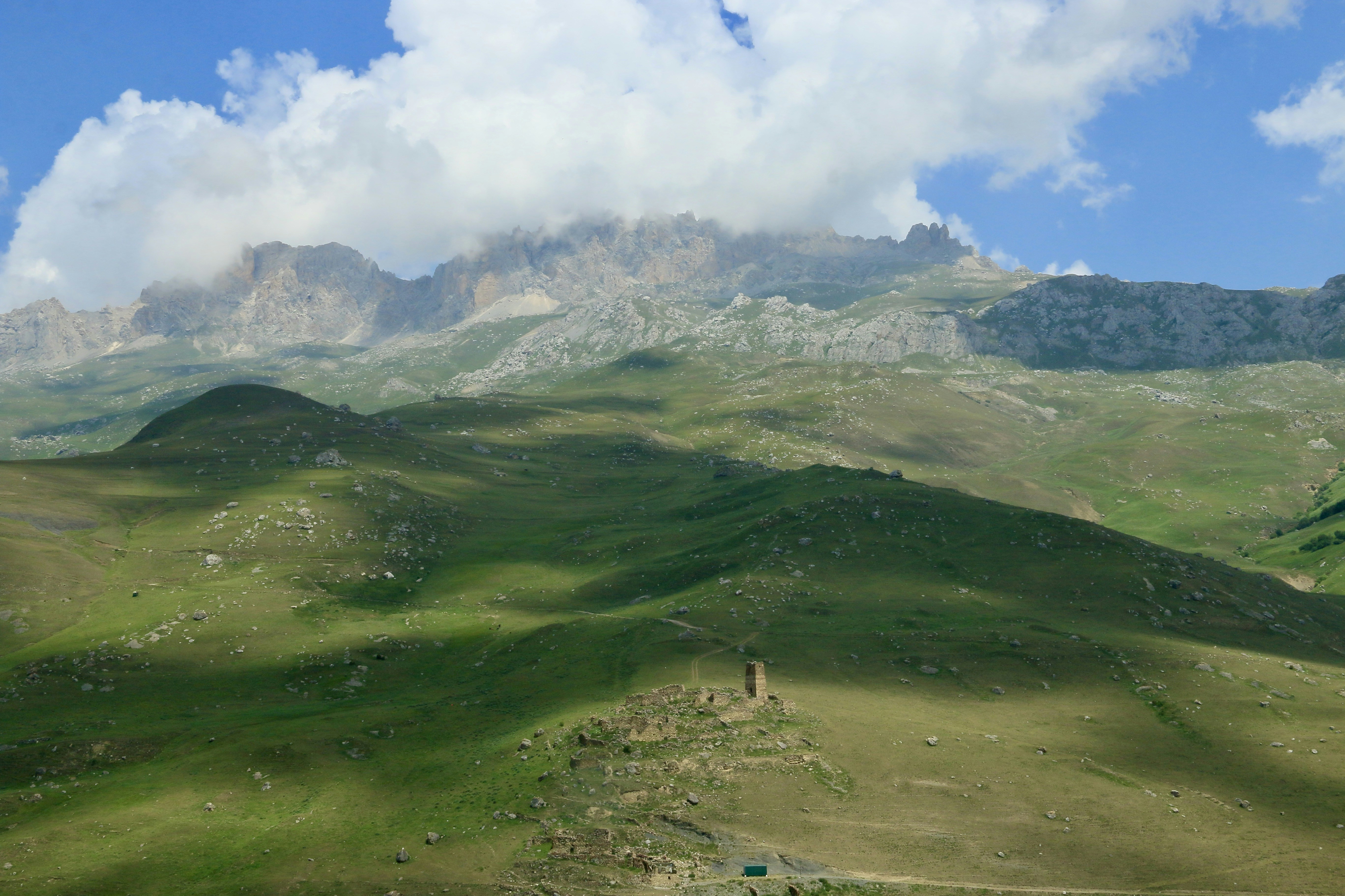 Photo by polinakoroleva