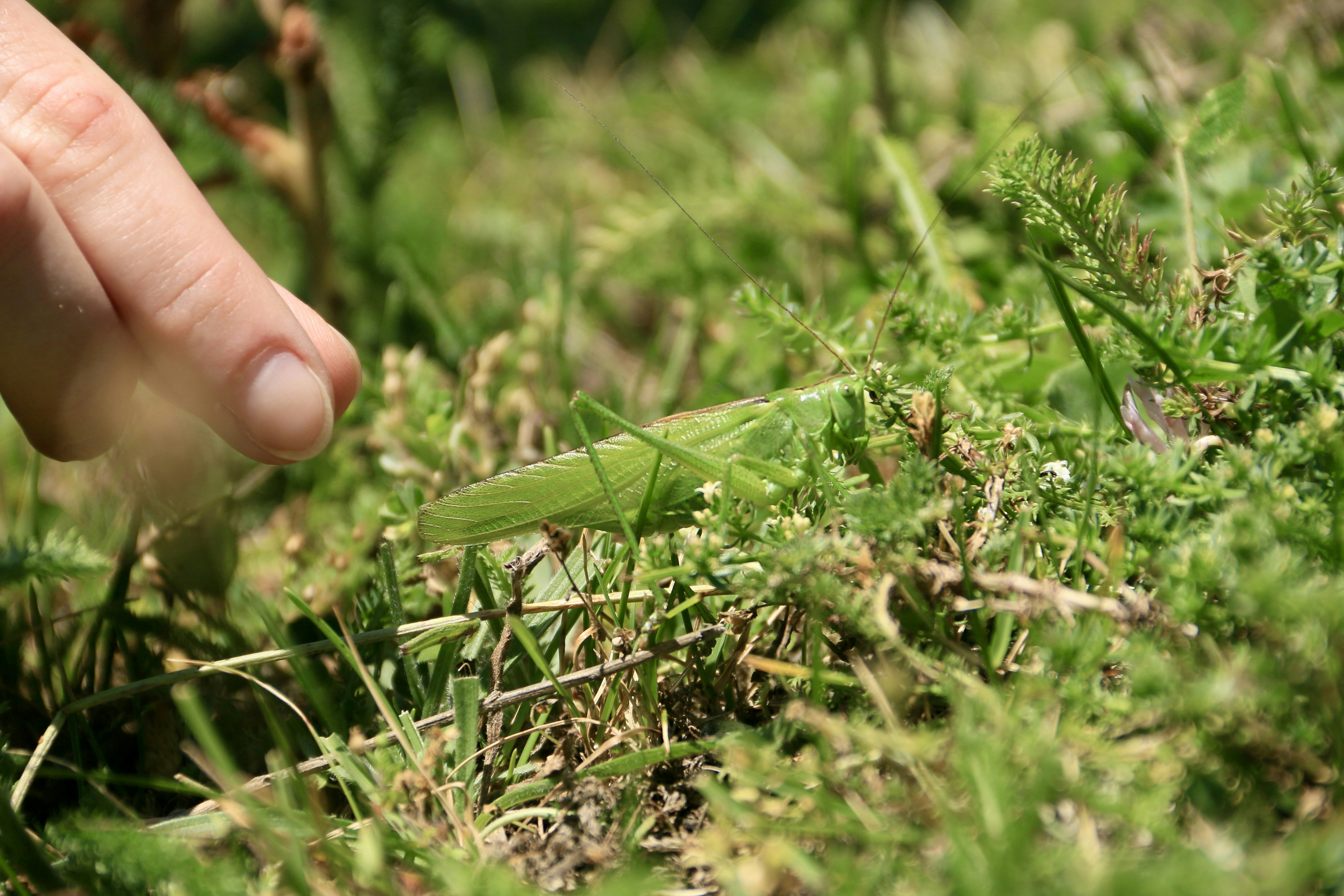 7-Day Pickleball Practice Routine for Intermediate Players
