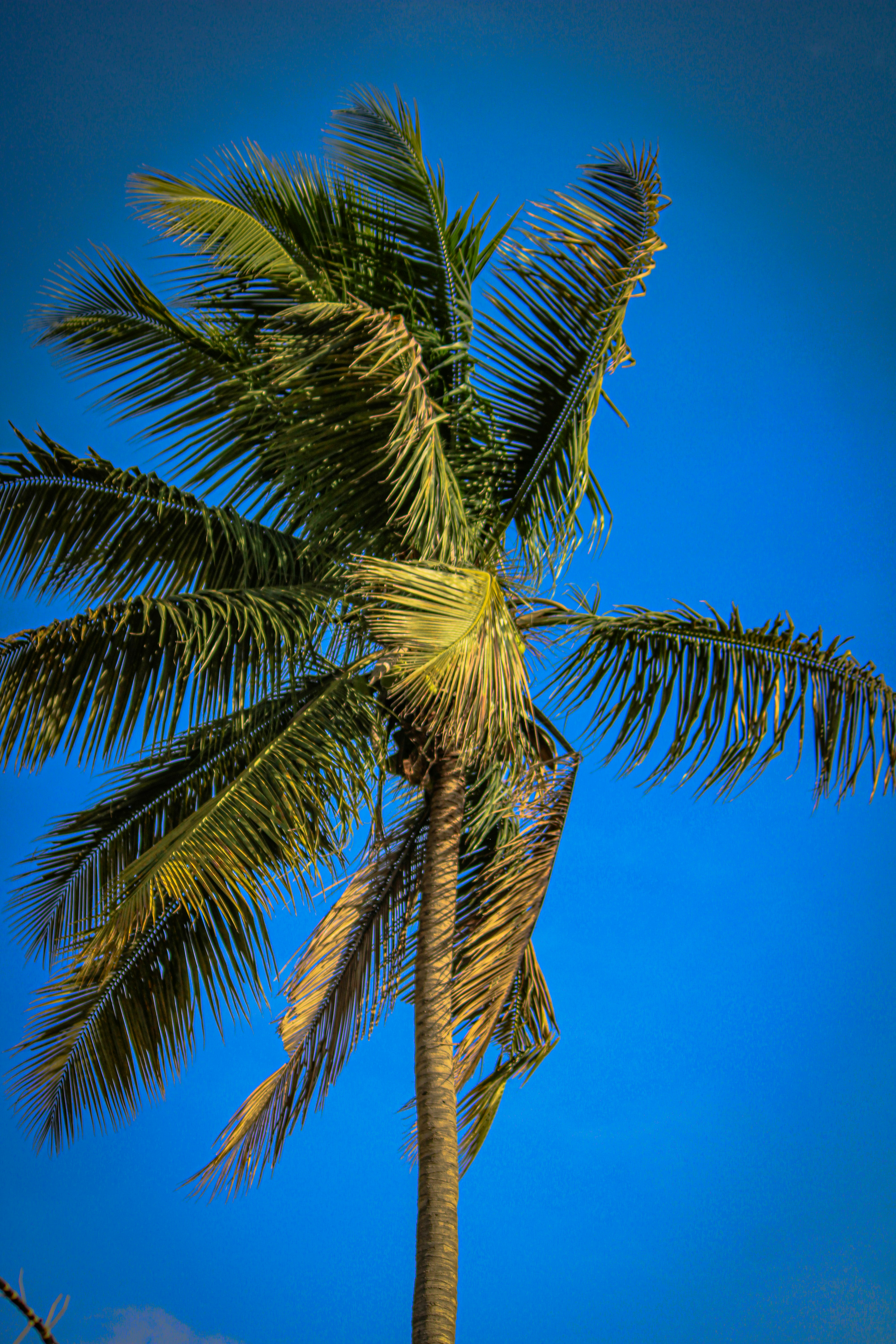 Photo by shots_by_abu