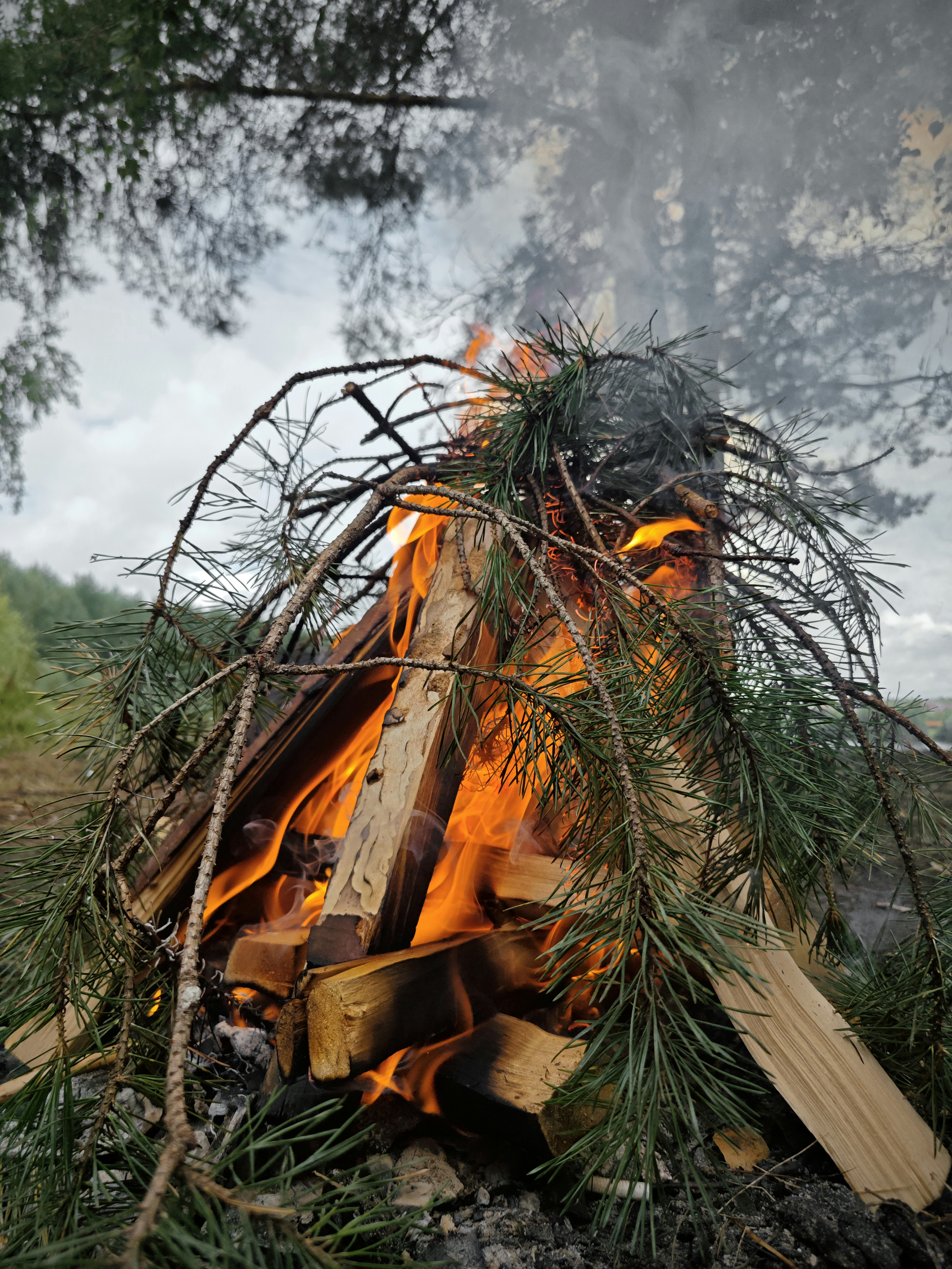 A pile of wood sitting next to a fire in a forest