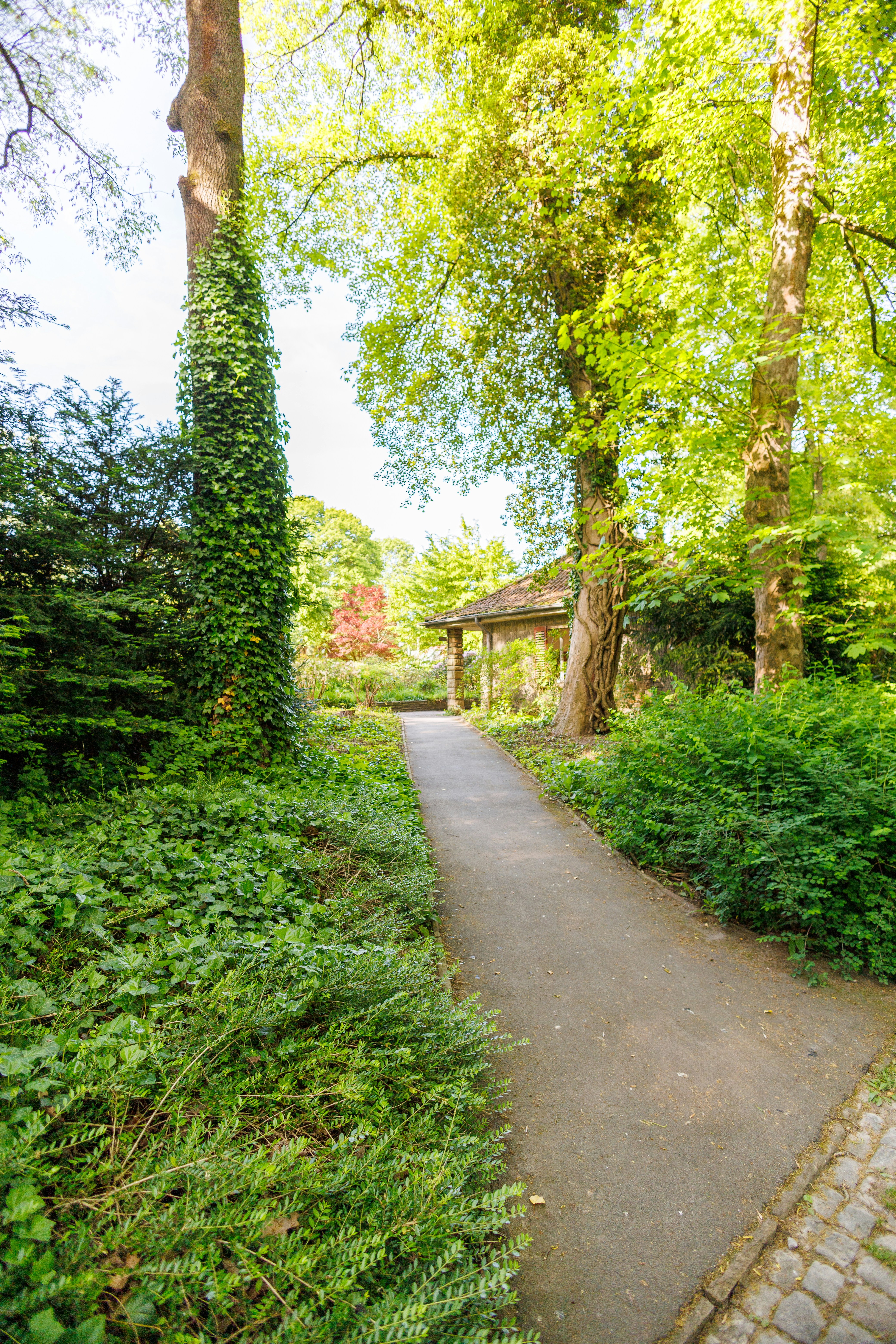 Photo by stockbirken