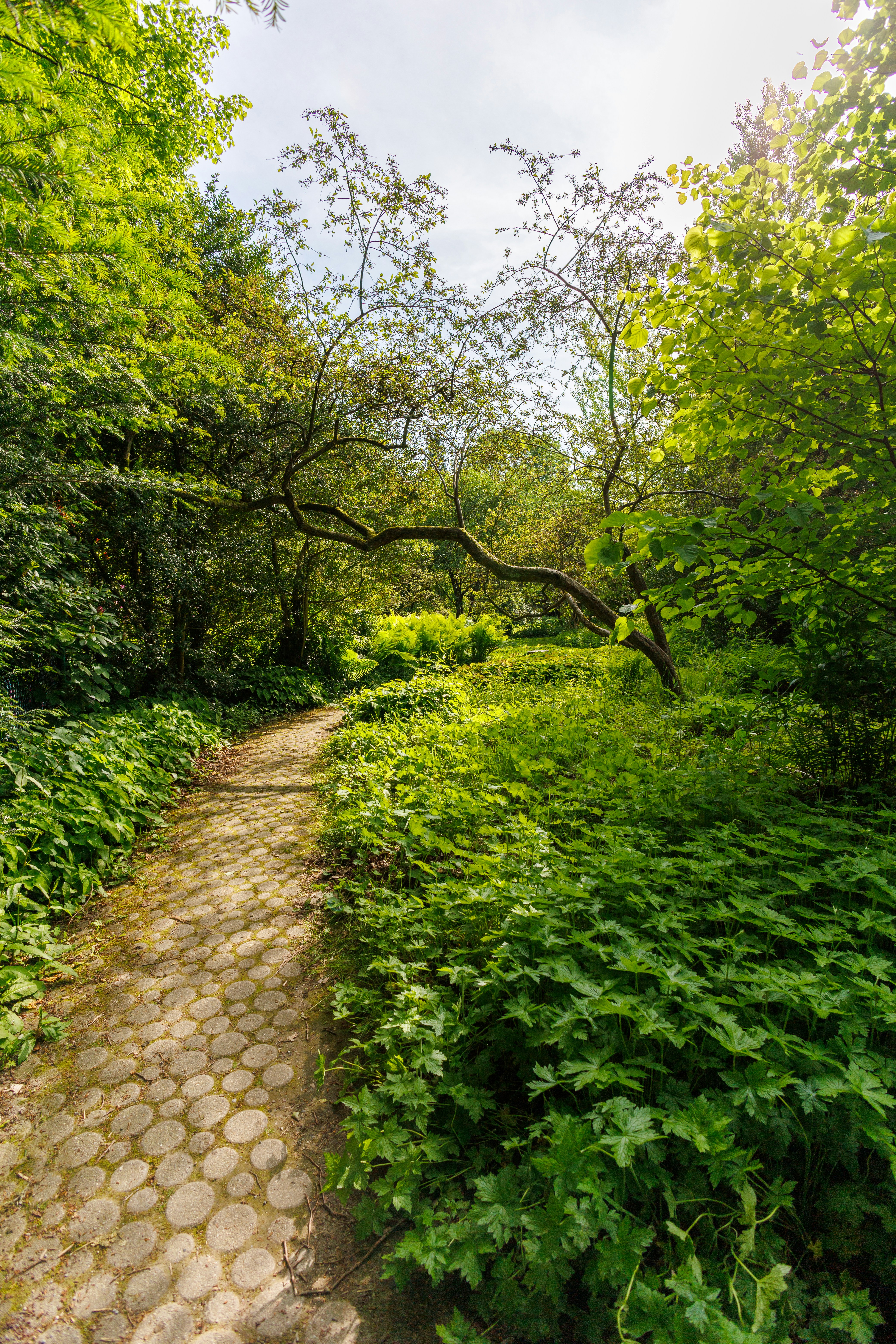 Photo by stockbirken