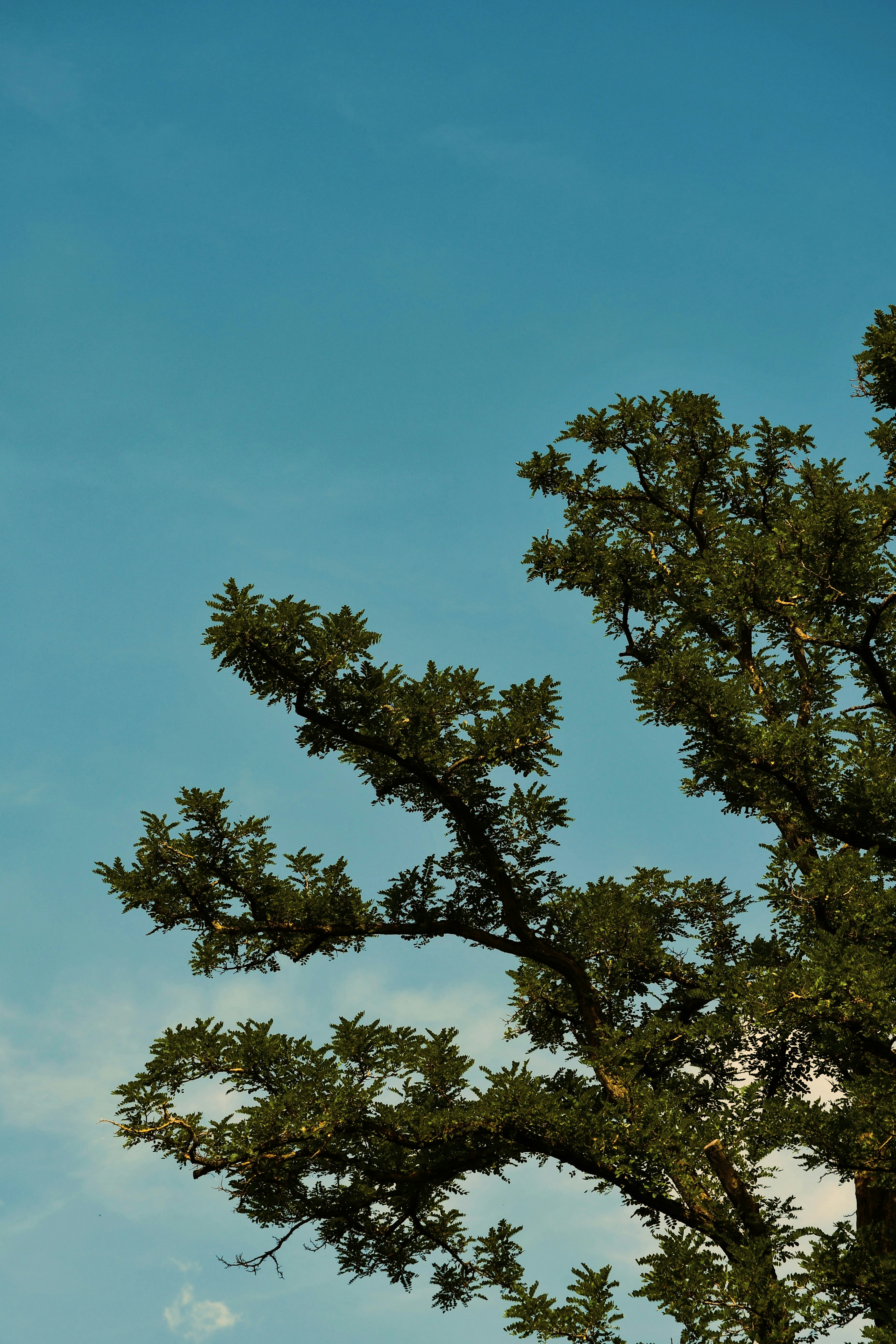 Photo by oleksandra_syrytsia