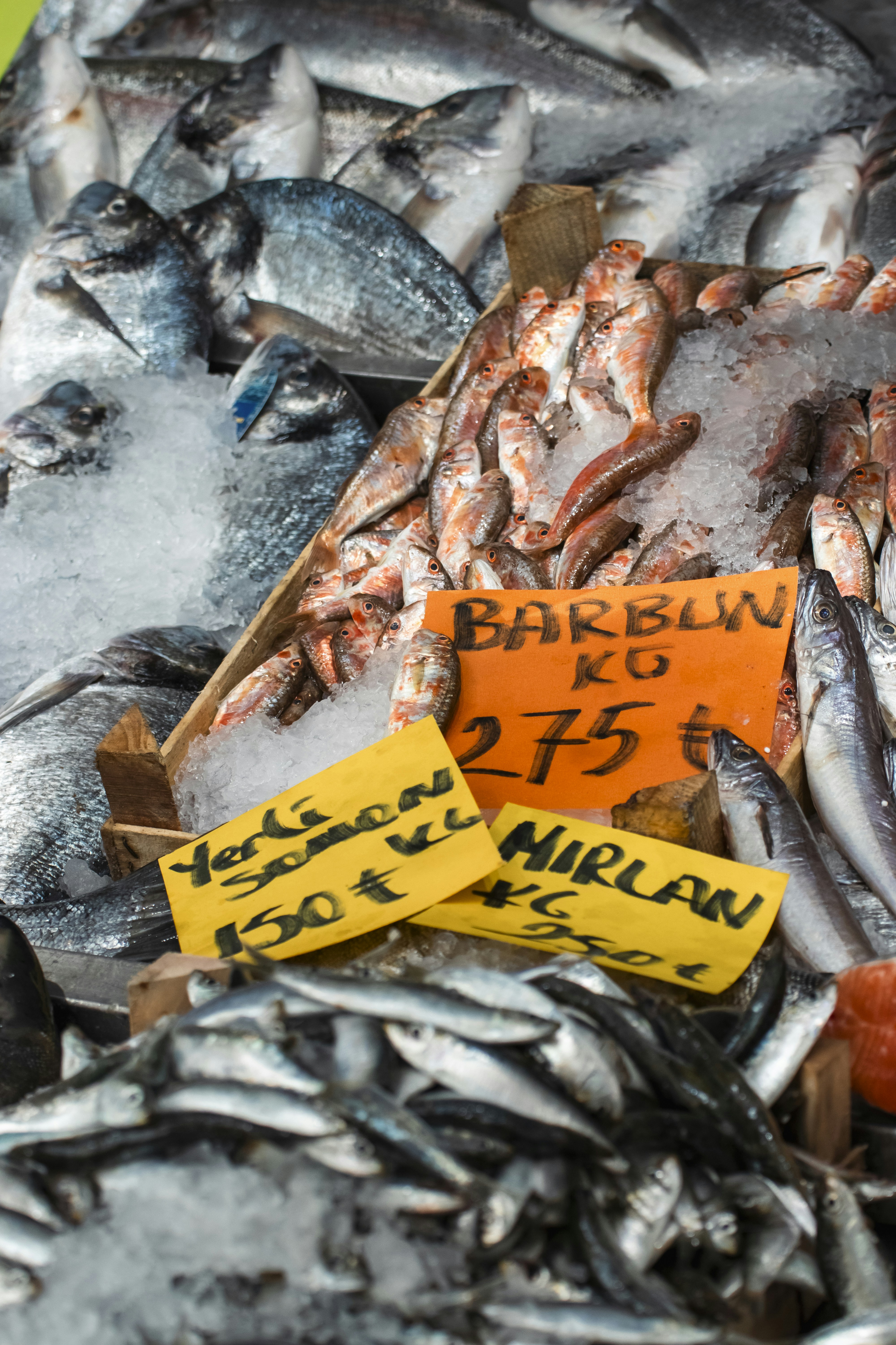 Photo by burakbasgoze