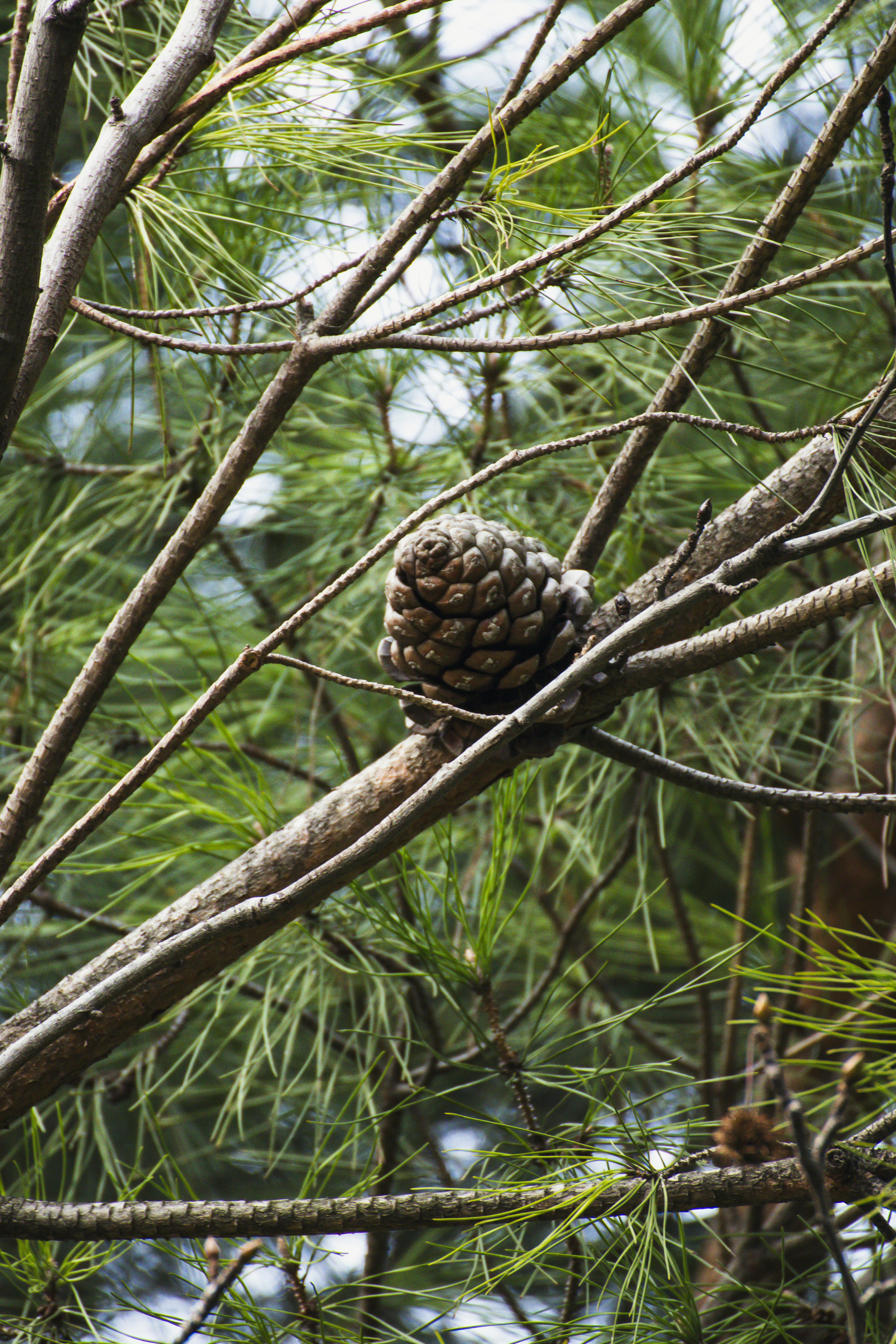 Photo by burakbasgoze