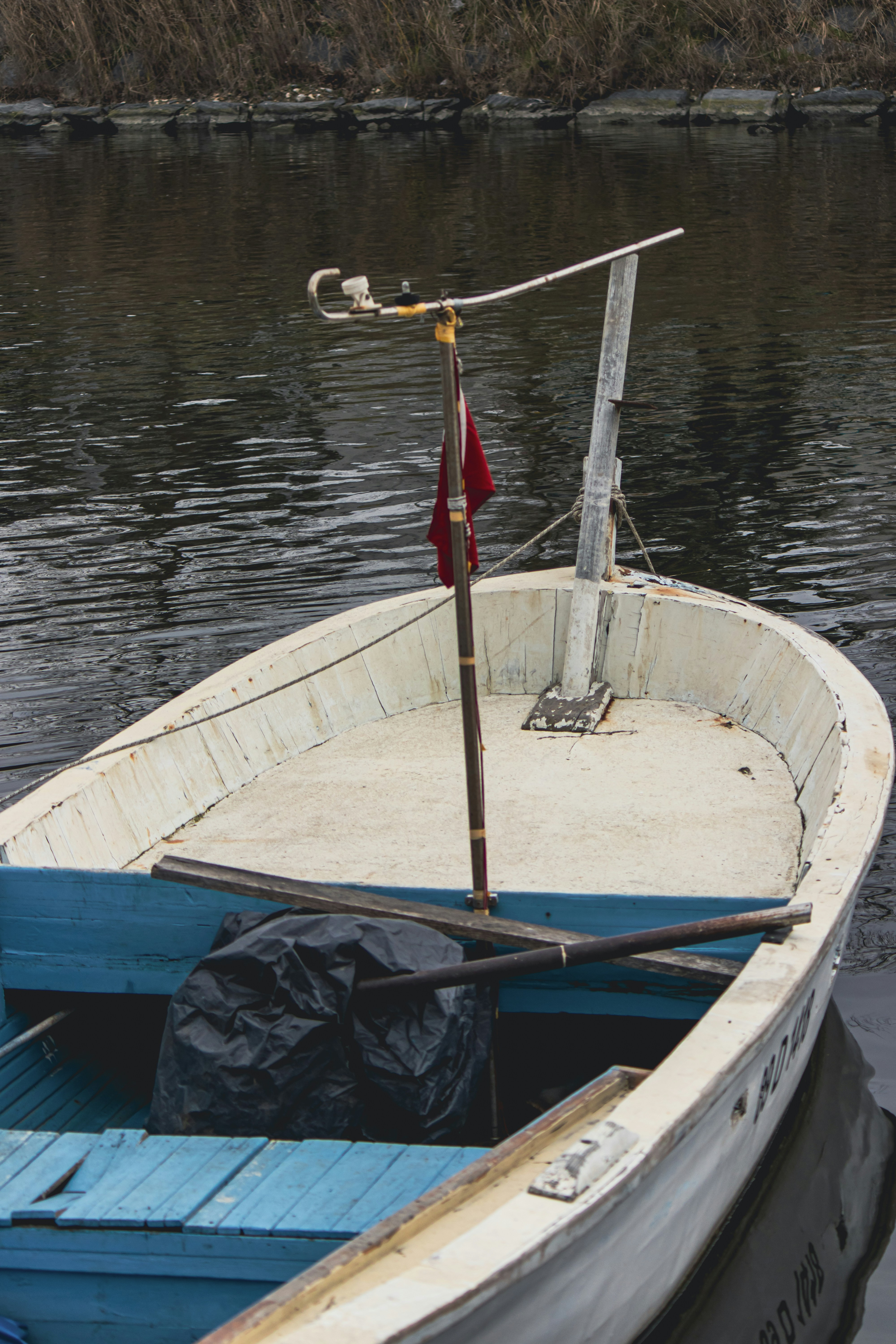 Photo by burakbasgoze