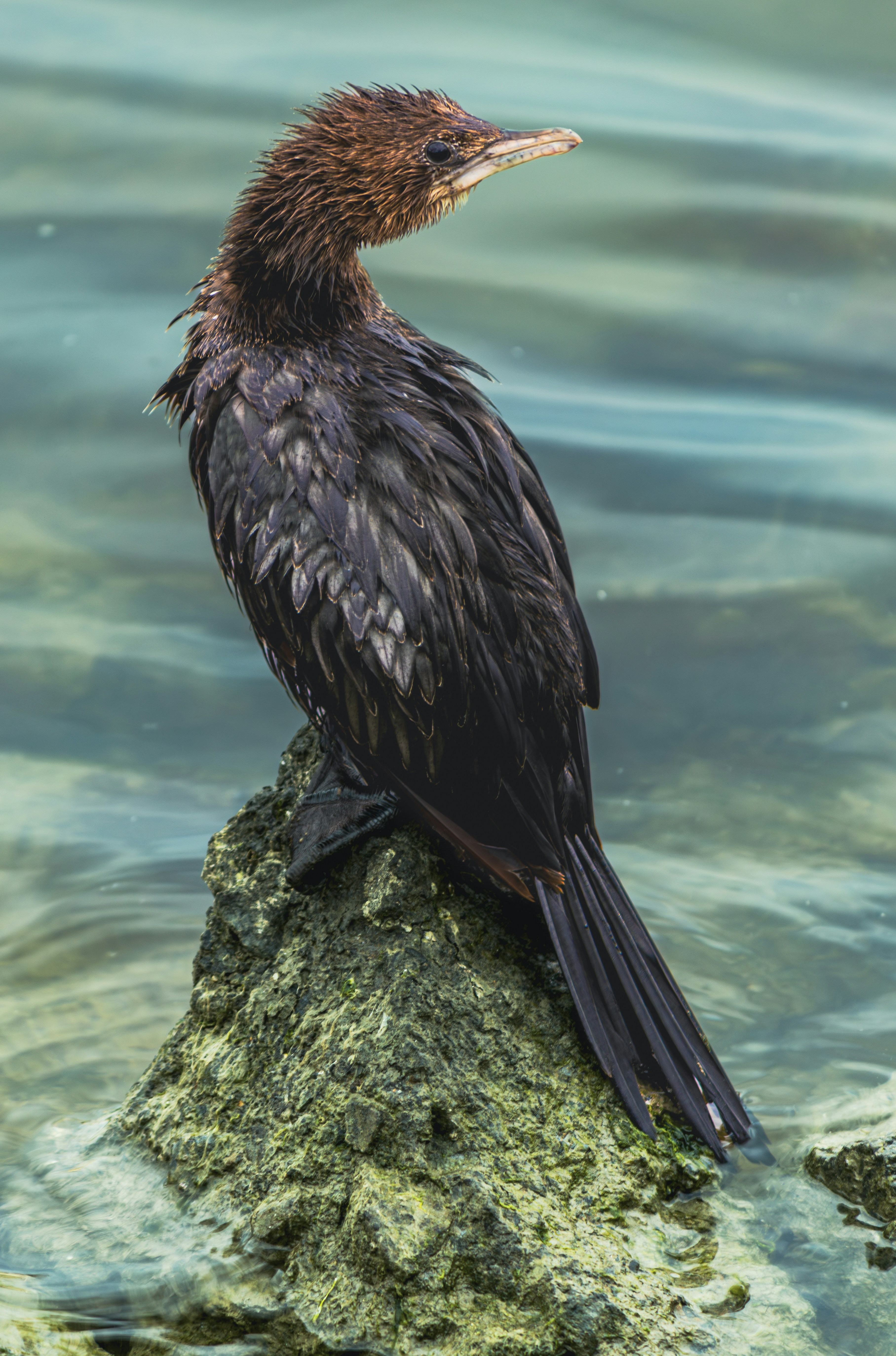 Background image for slide 1