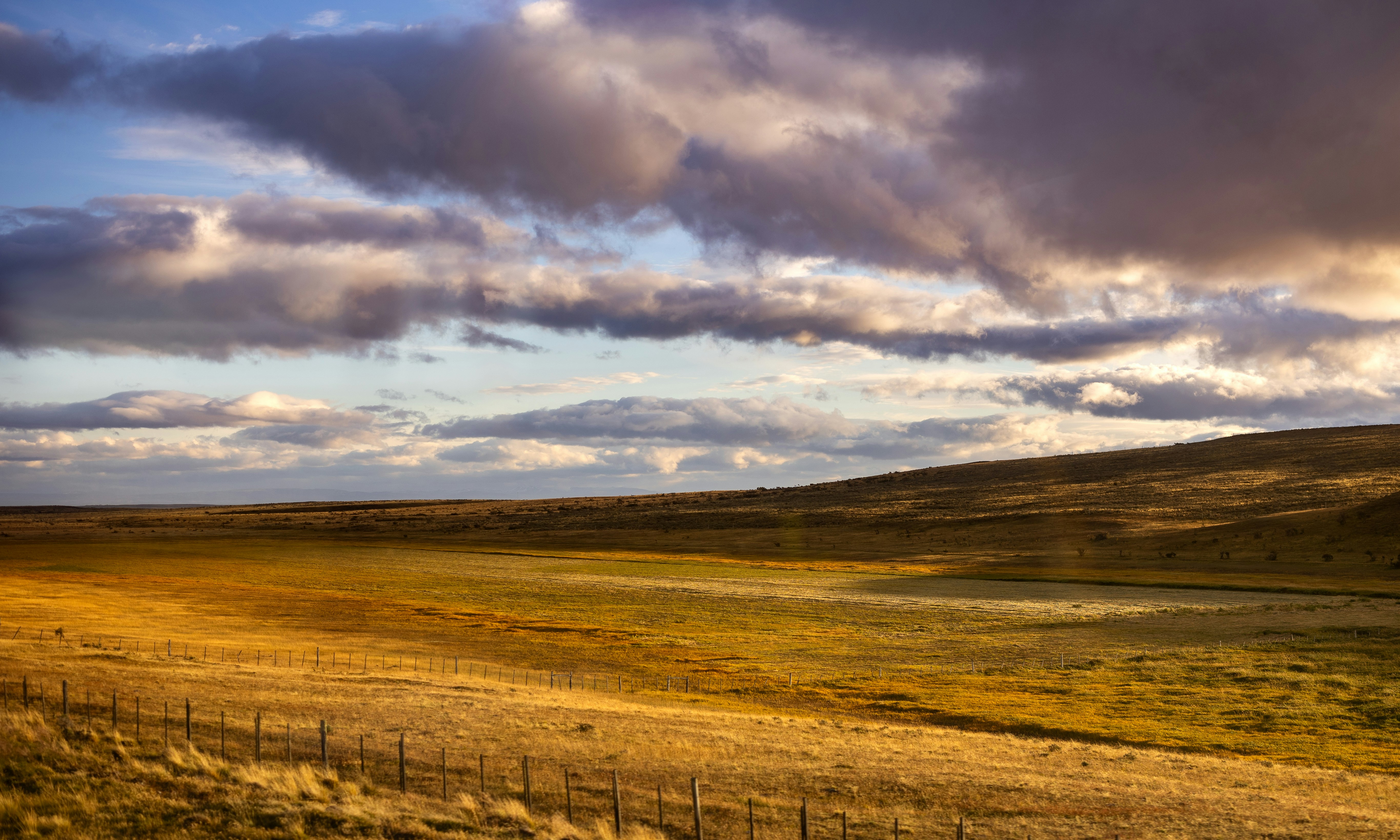 Photo by marekpiwnicki