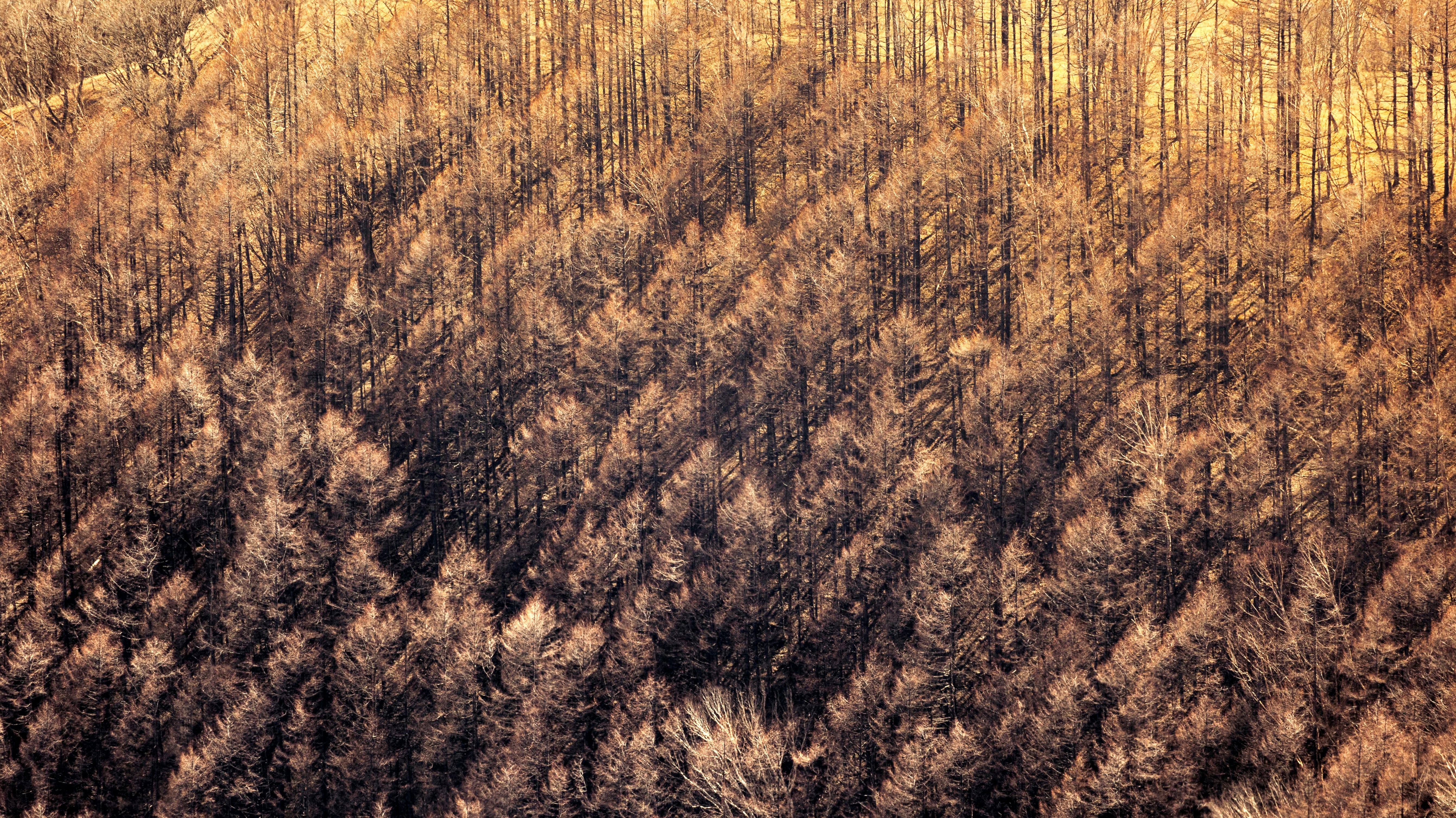 Photo by marekpiwnicki