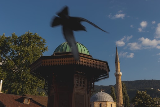 A bird flying over a building with a green dome