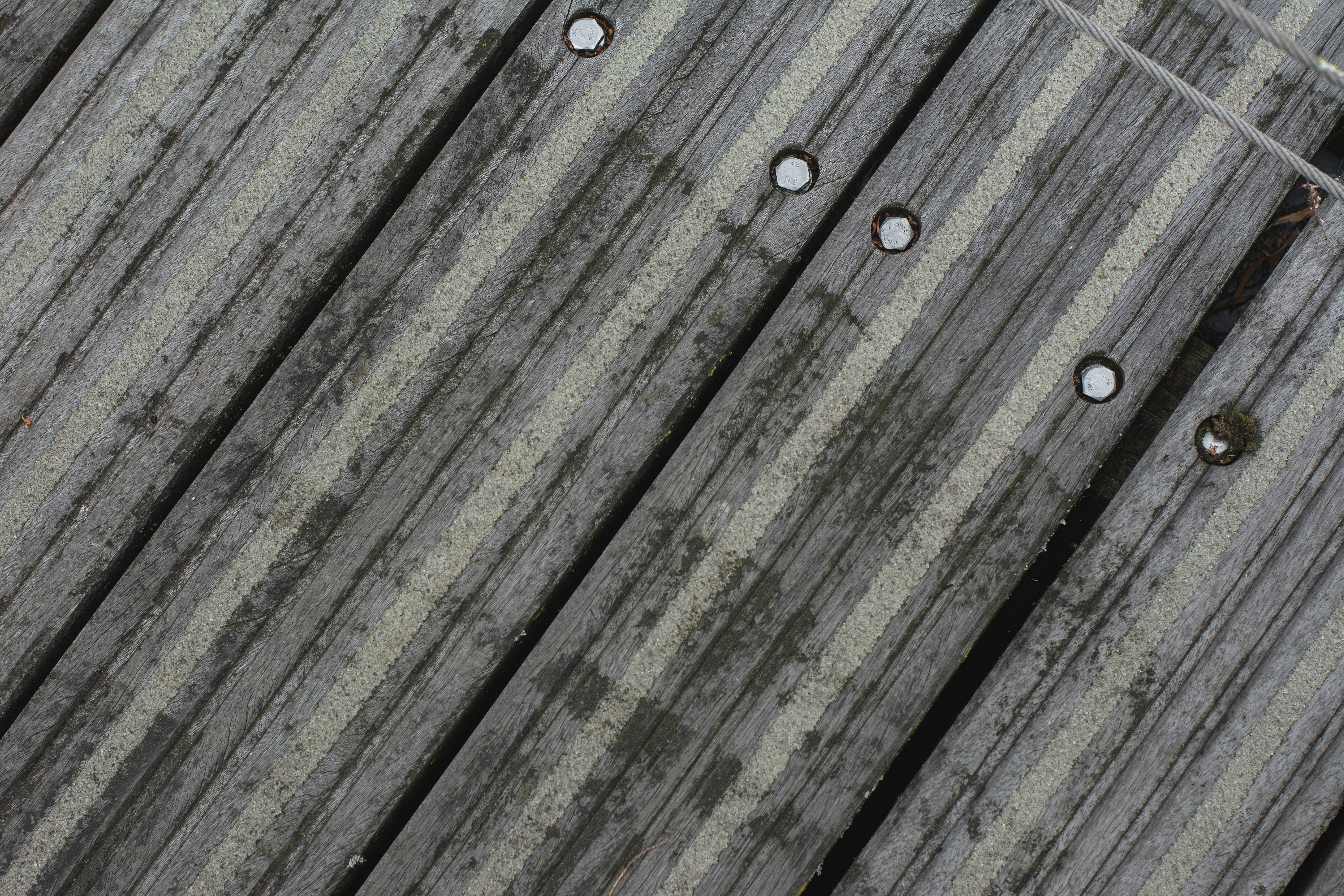 A bird is perched on a wooden fence