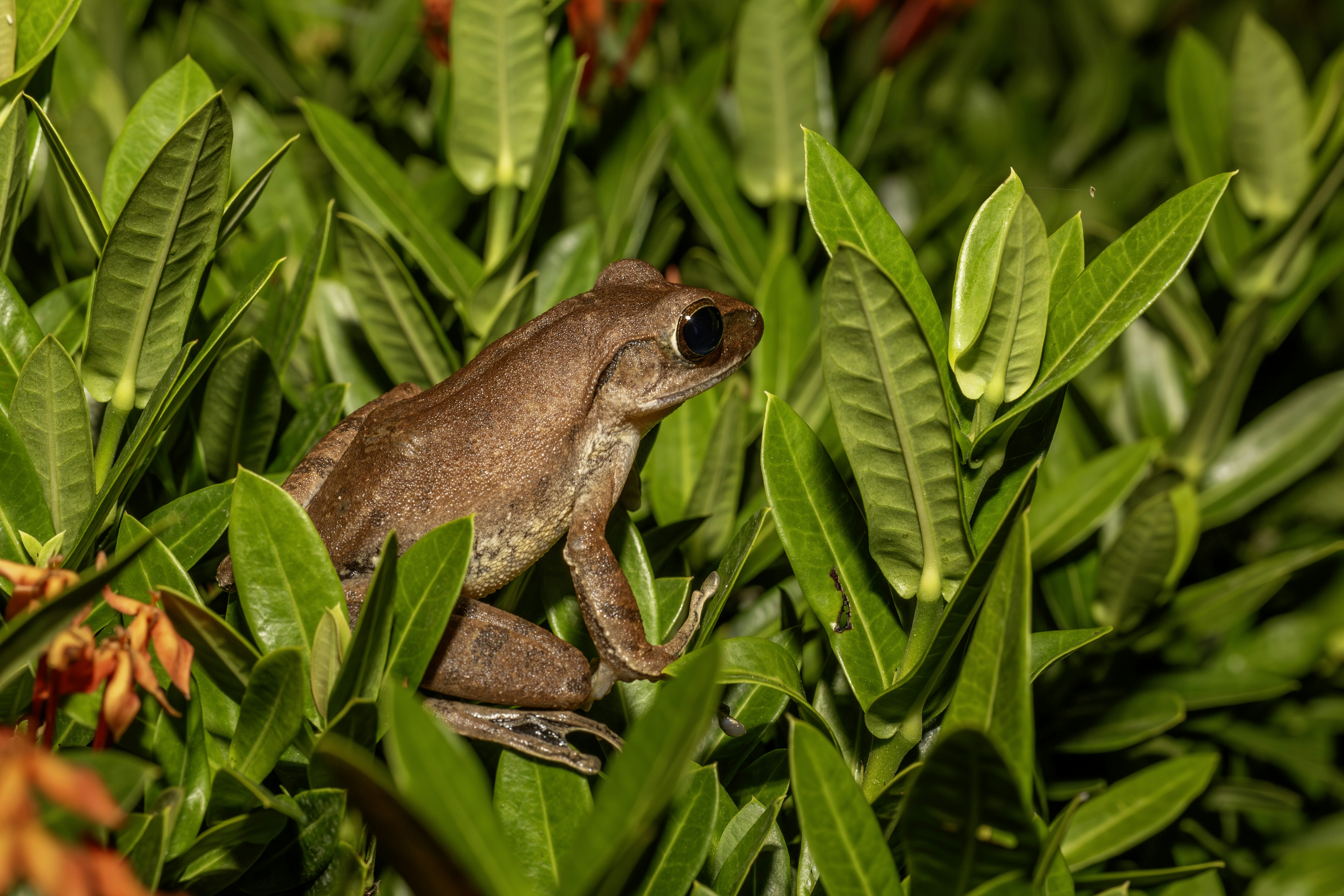 Photo by erik_karits