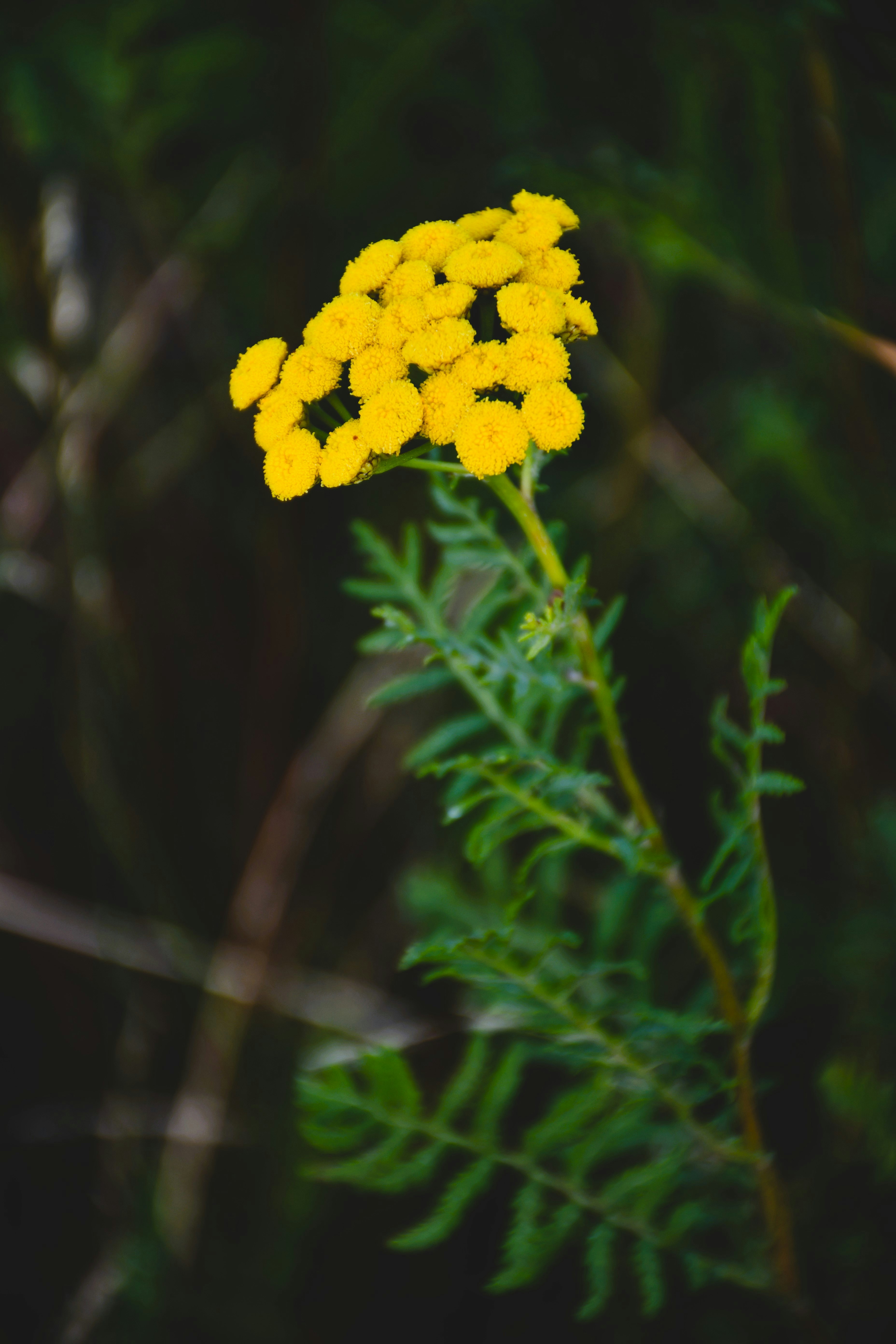 Photo by oleksandra_syrytsia