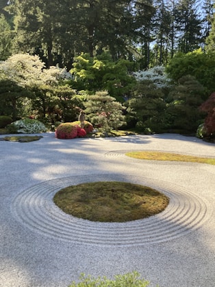 A garden with a circular design in the middle of it