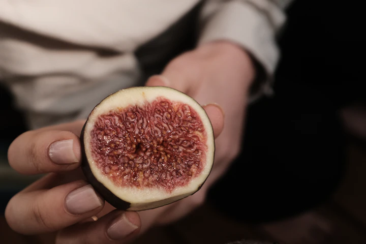 Ripe fig fruit — visual inspiration for Exotic Fruits