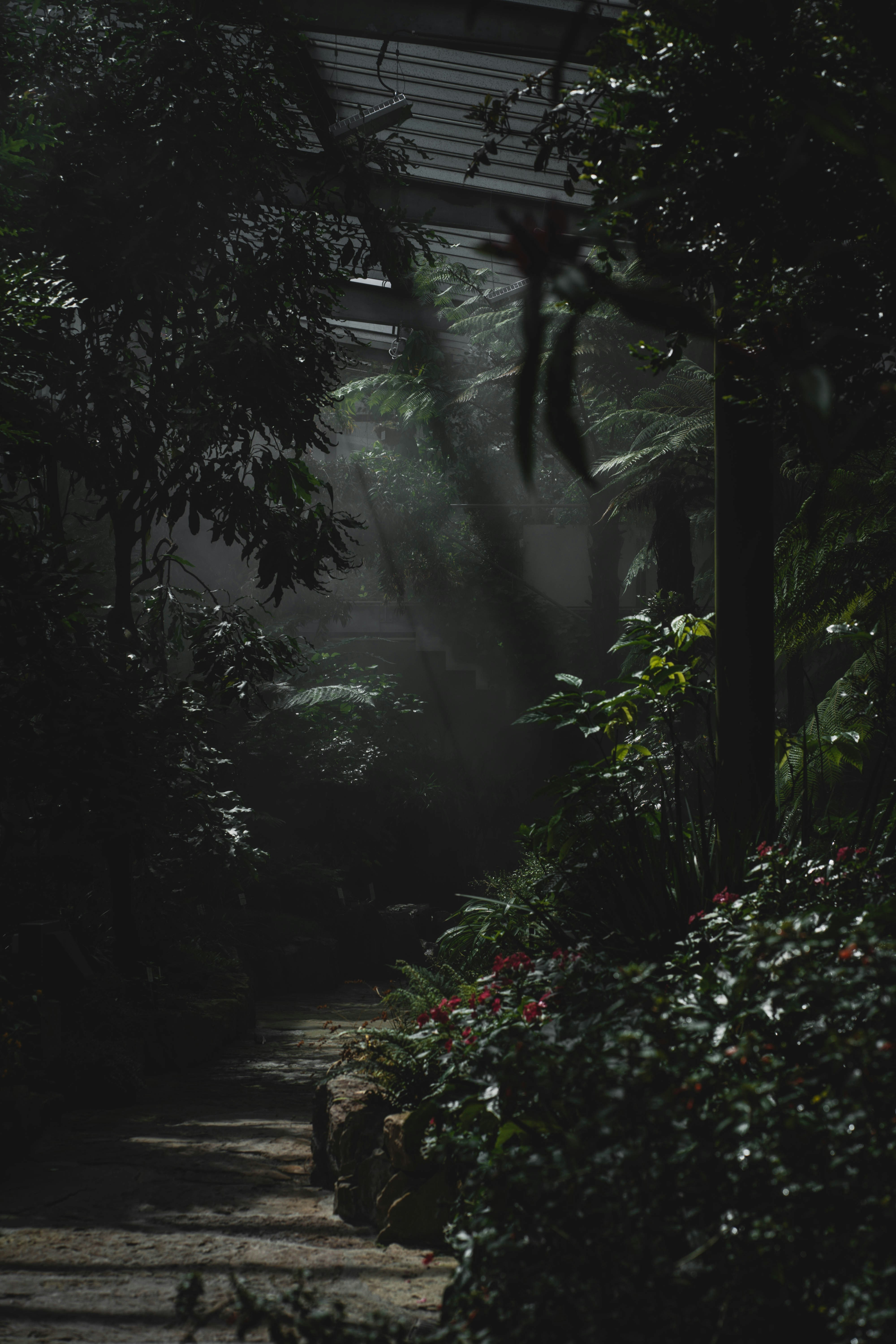 Photo by allexander_h