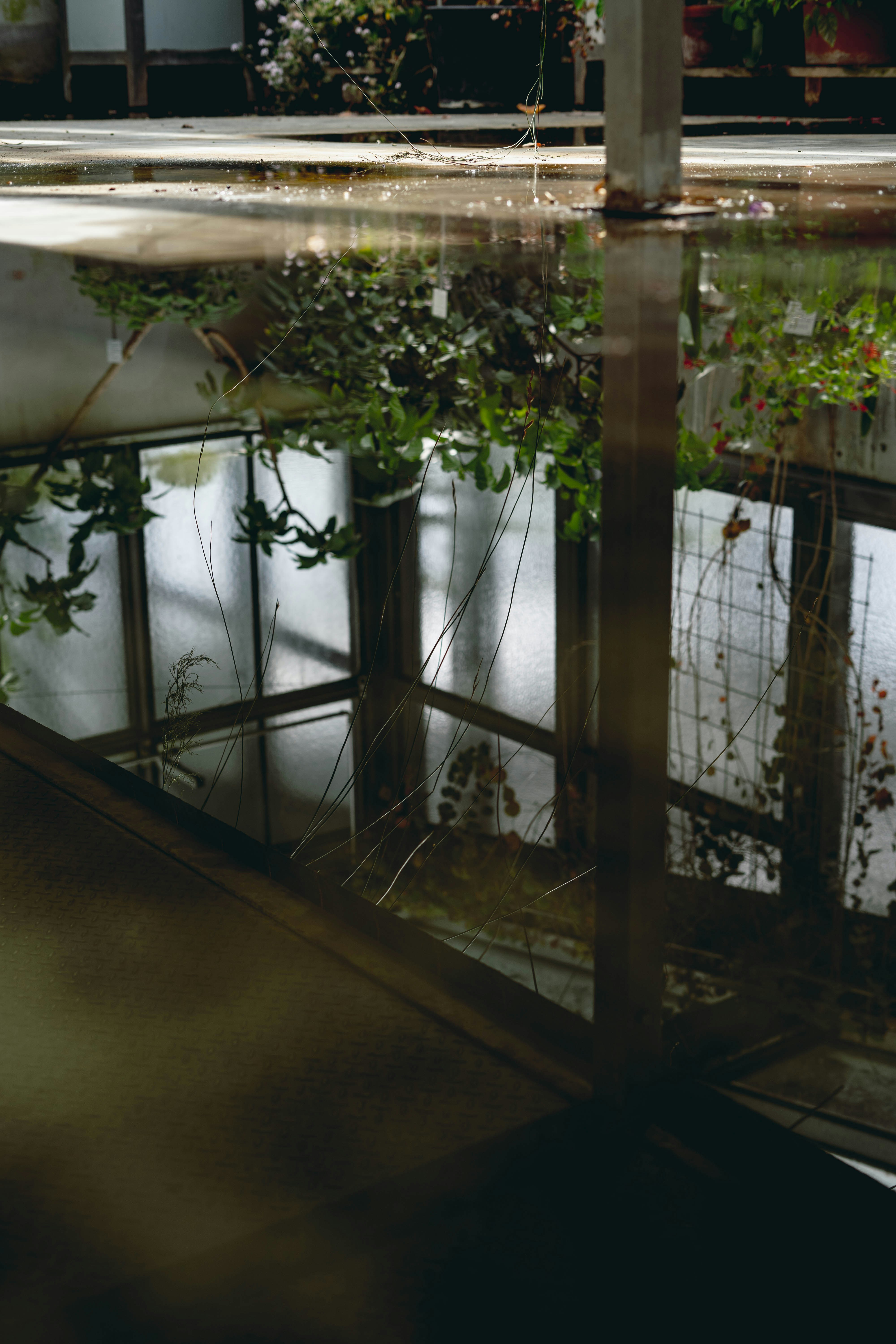 Photo by allexander_h