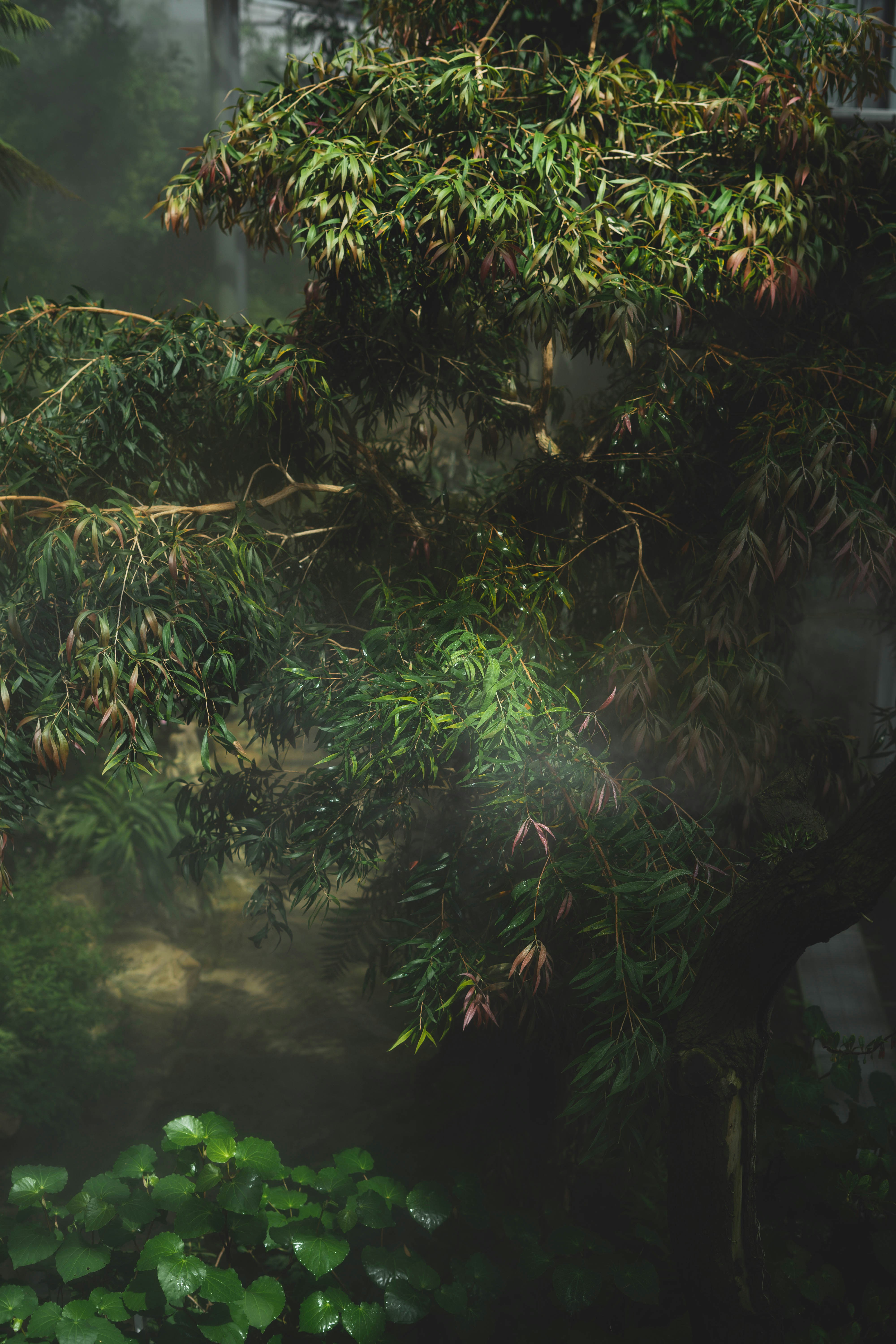 Photo by allexander_h