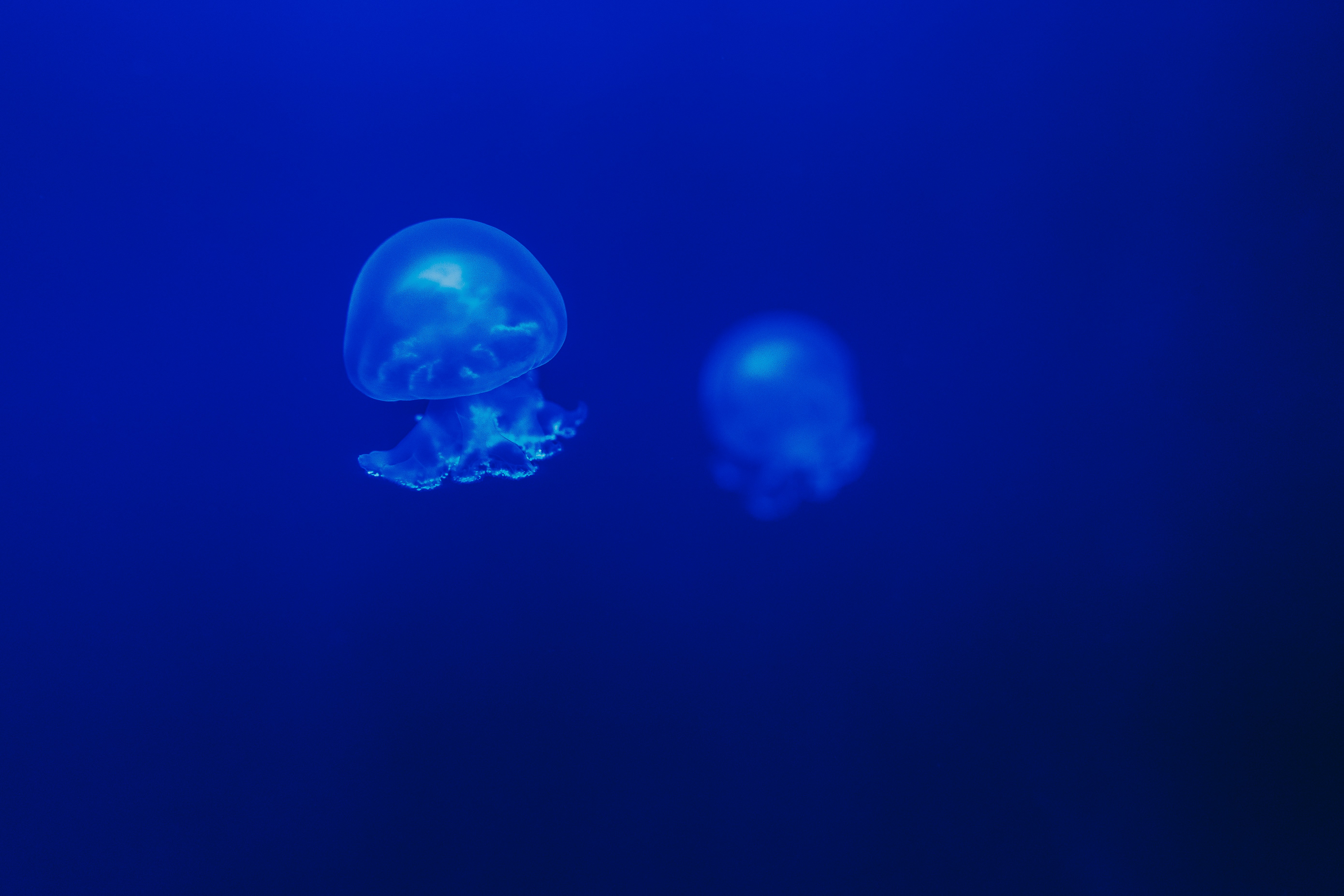 Photo by arturoeg_foto