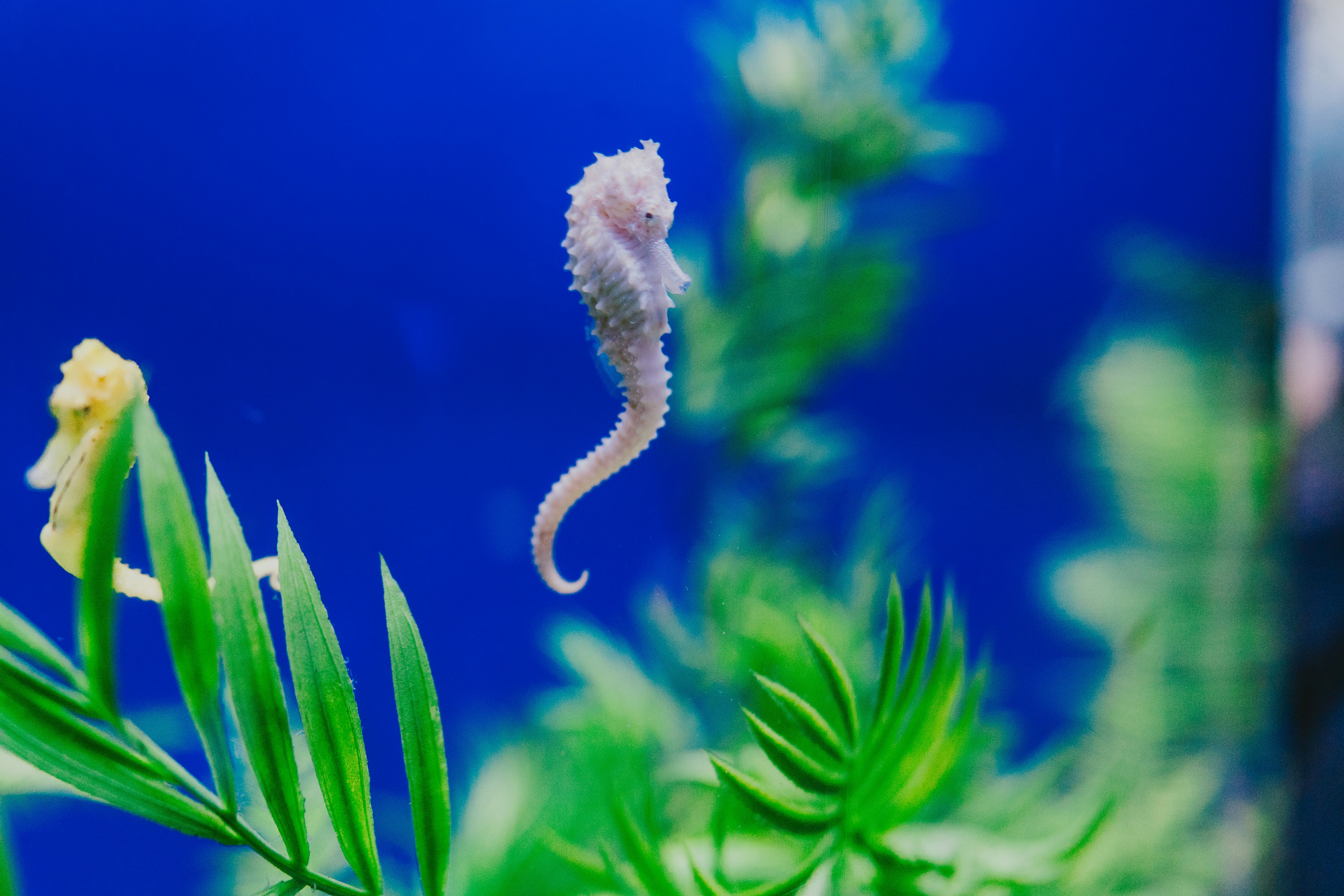 Photo by arturoeg_foto