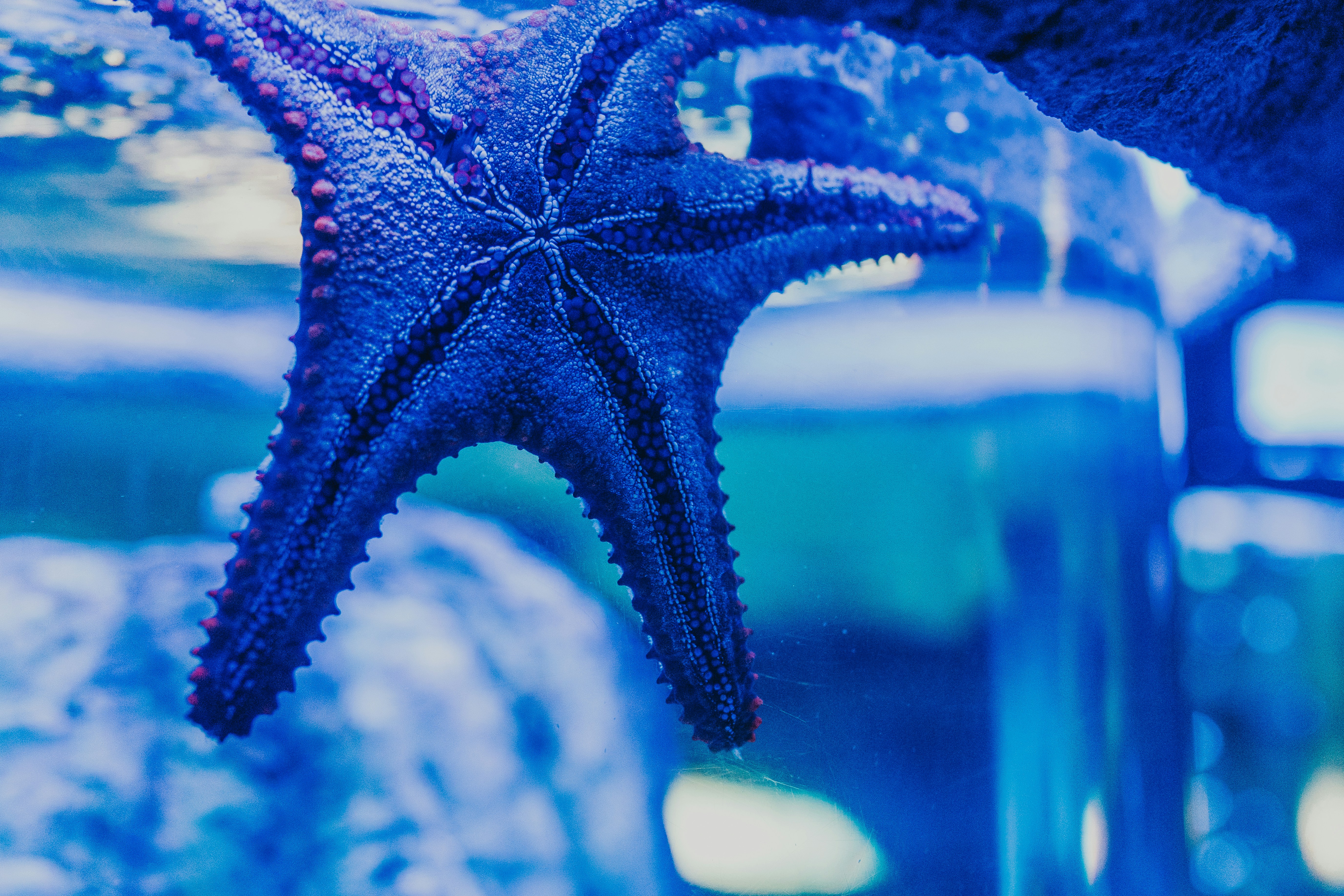 Photo by arturoeg_foto