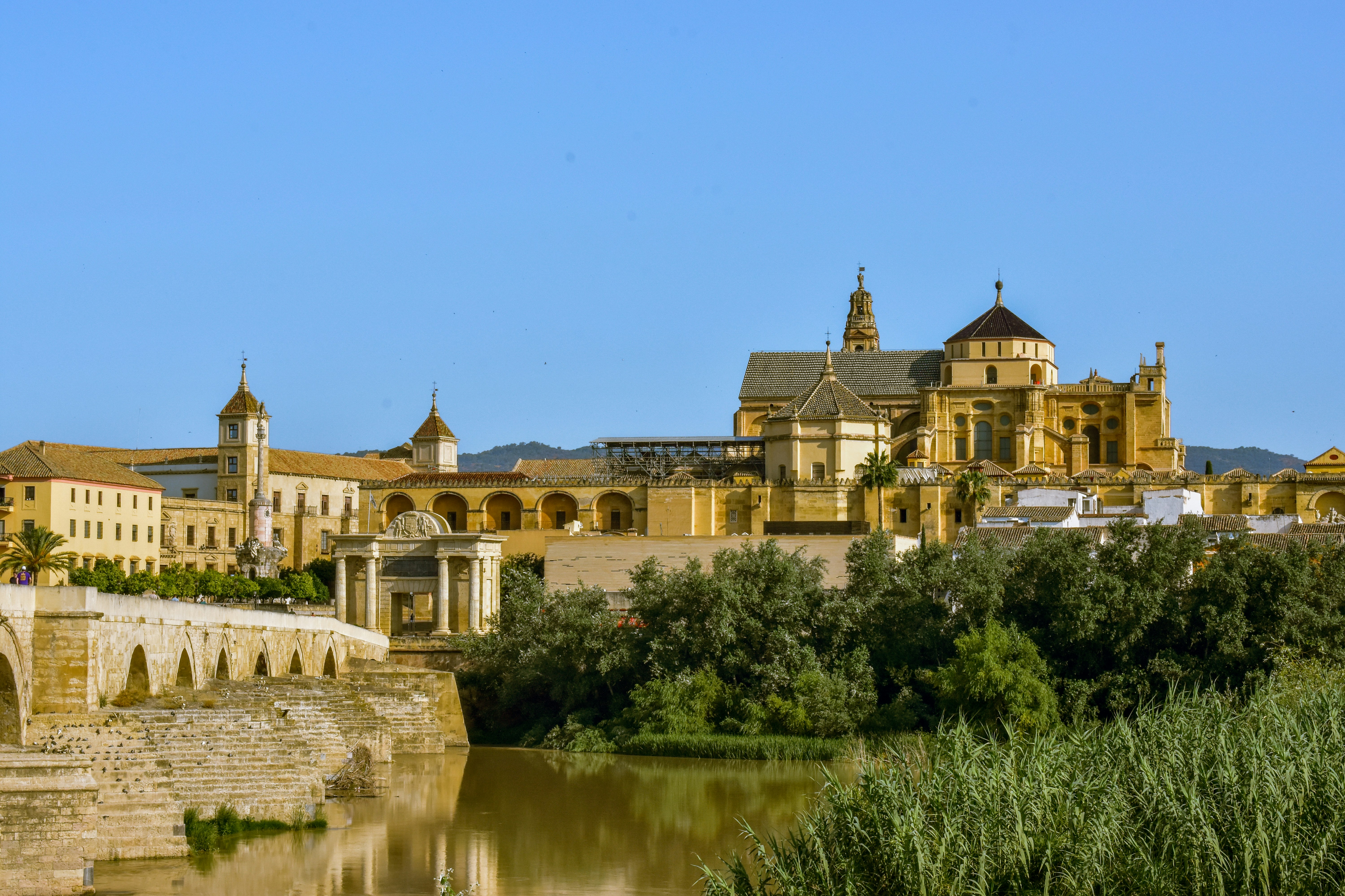 Mejores 5 empresas de SEO con inteligencia artificial en Córdoba