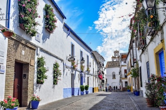A narrow street with potted plants on the side of it