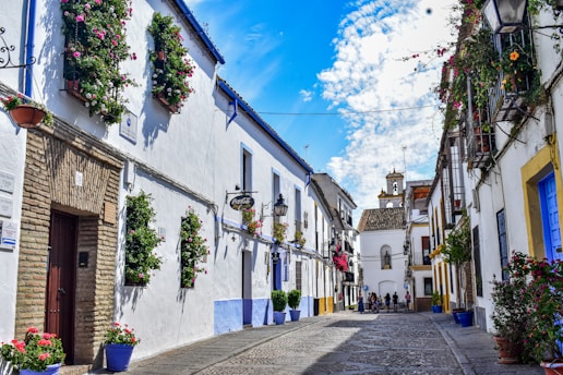A narrow street with potted plants on the side of it
