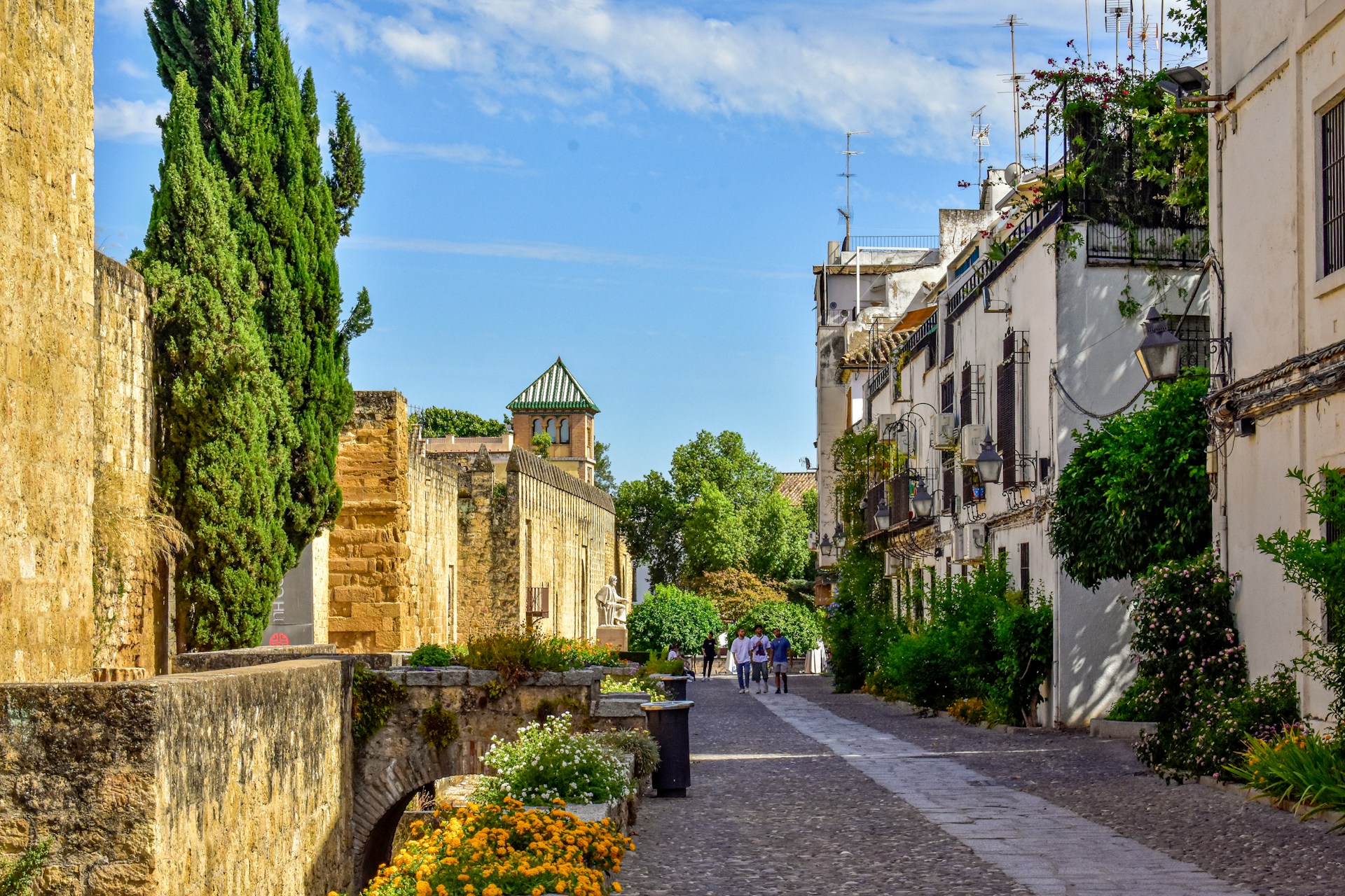 A street lined with tall buildings and lots of greenery