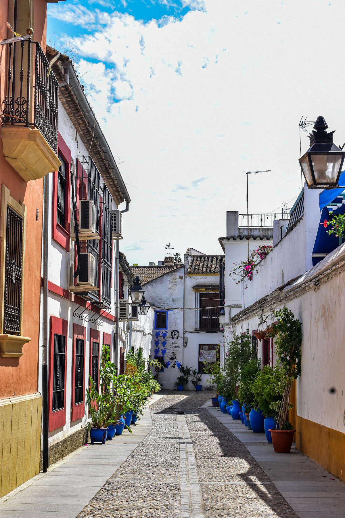 Calle de Córdoba con casas blancas y macetas